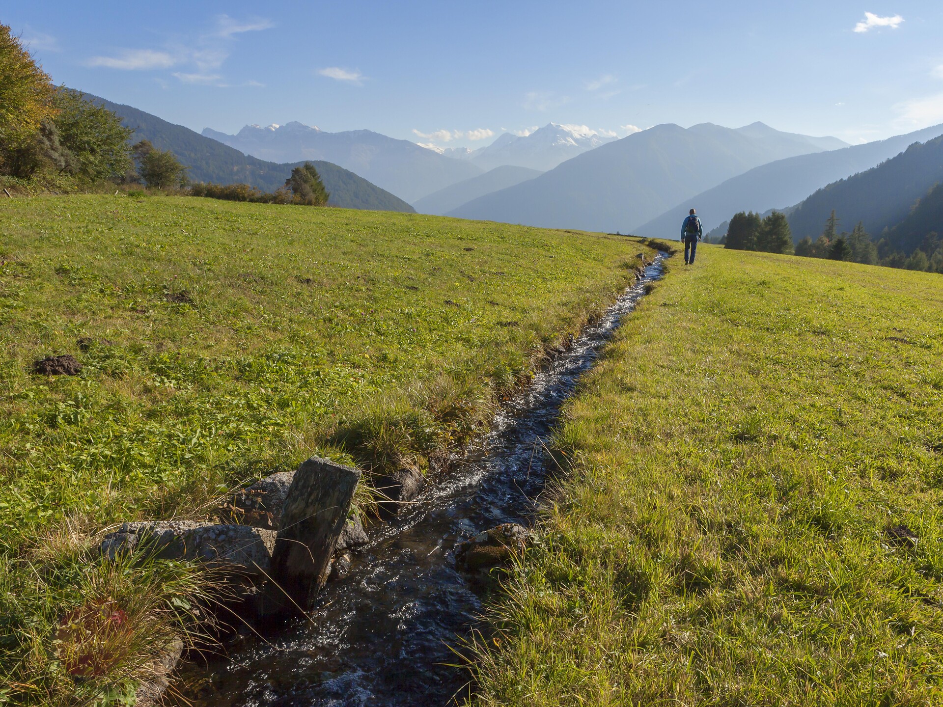 Führung Wiesenwassern und Wiesenvögel auf der Malser Haide Mals 1 suedtirol.info