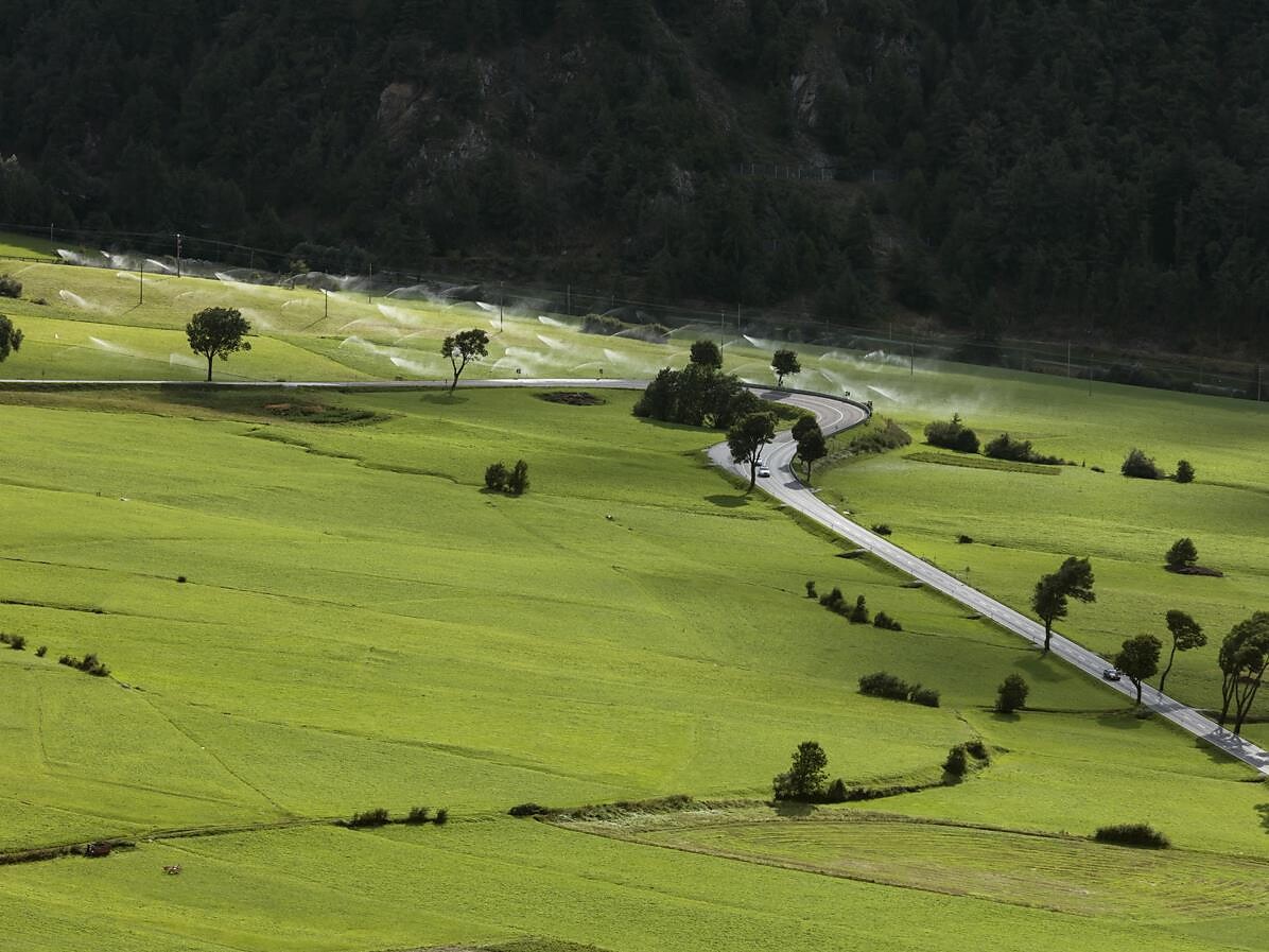 Führung Wiesenwassern und Wiesenvögel auf der Malser Haide Mals 3 suedtirol.info