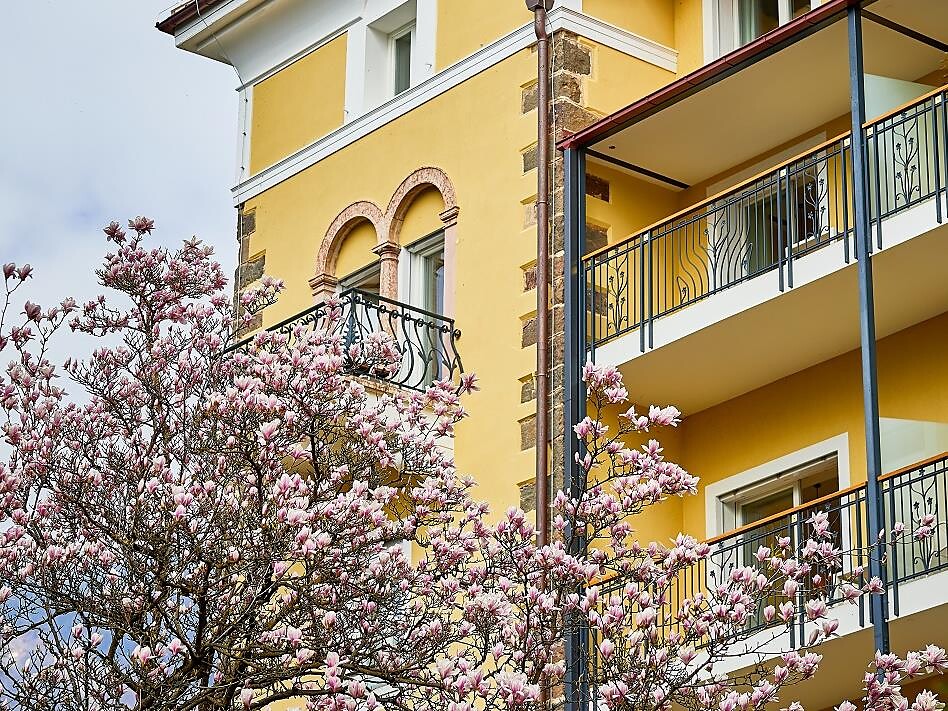 Visita guidata: Giardino privato clinica Martinsbrunn/Fonte di San Martino Merano 1 suedtirol.info