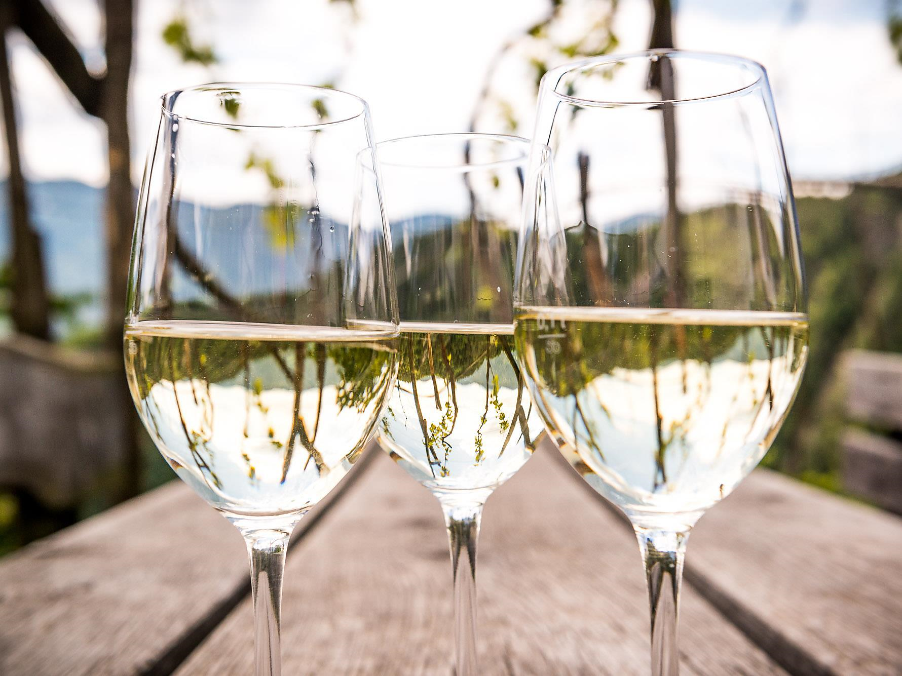 Guided tour & wine tasting – Perlhof Ritten/Renon 1 suedtirol.info