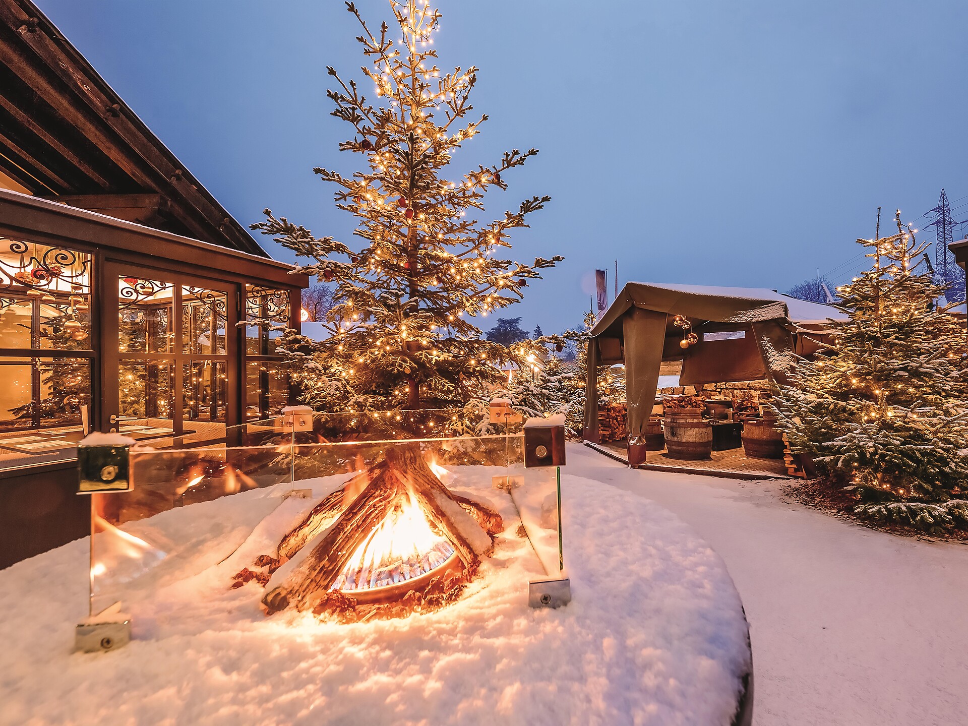 La Foresta Natalizia - Merano e dintorni - #3 - suedtirol.info