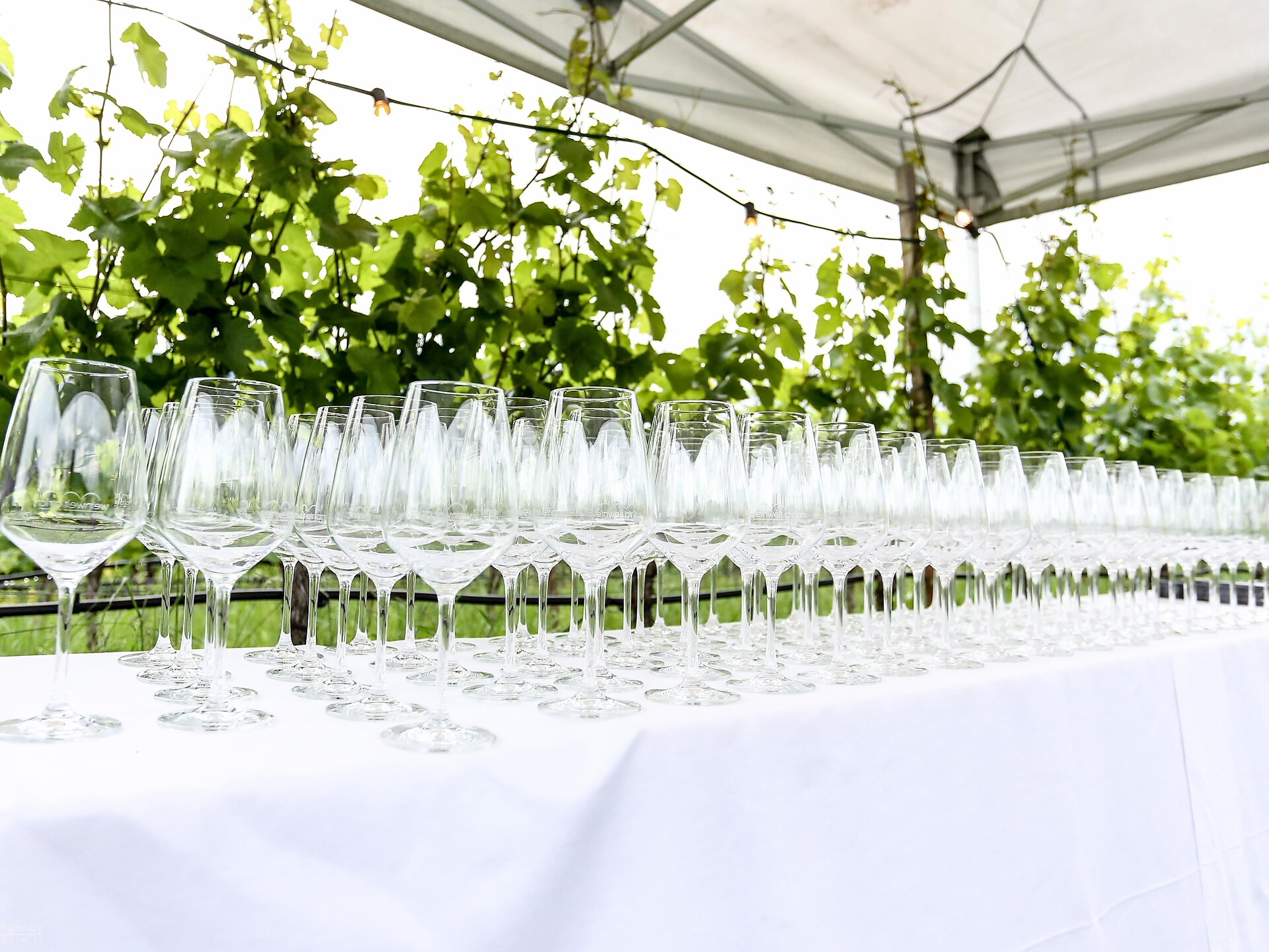 Gschleier Weinkost - Südtiroler Weinstraße - #3 - suedtirol.info