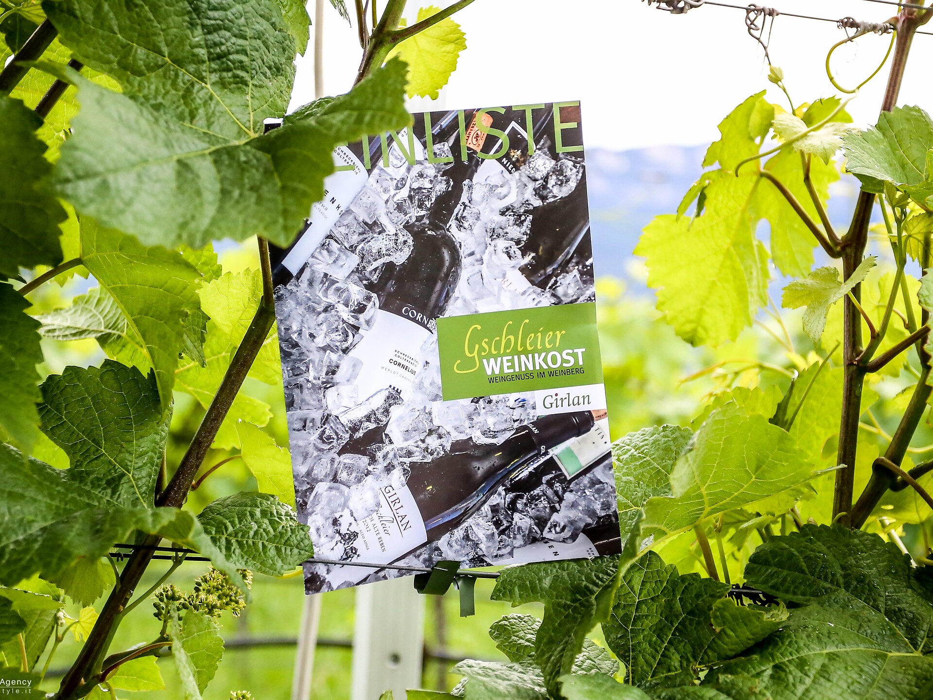 Gschleier Weinkost - Südtiroler Weinstraße - #1 - suedtirol.info