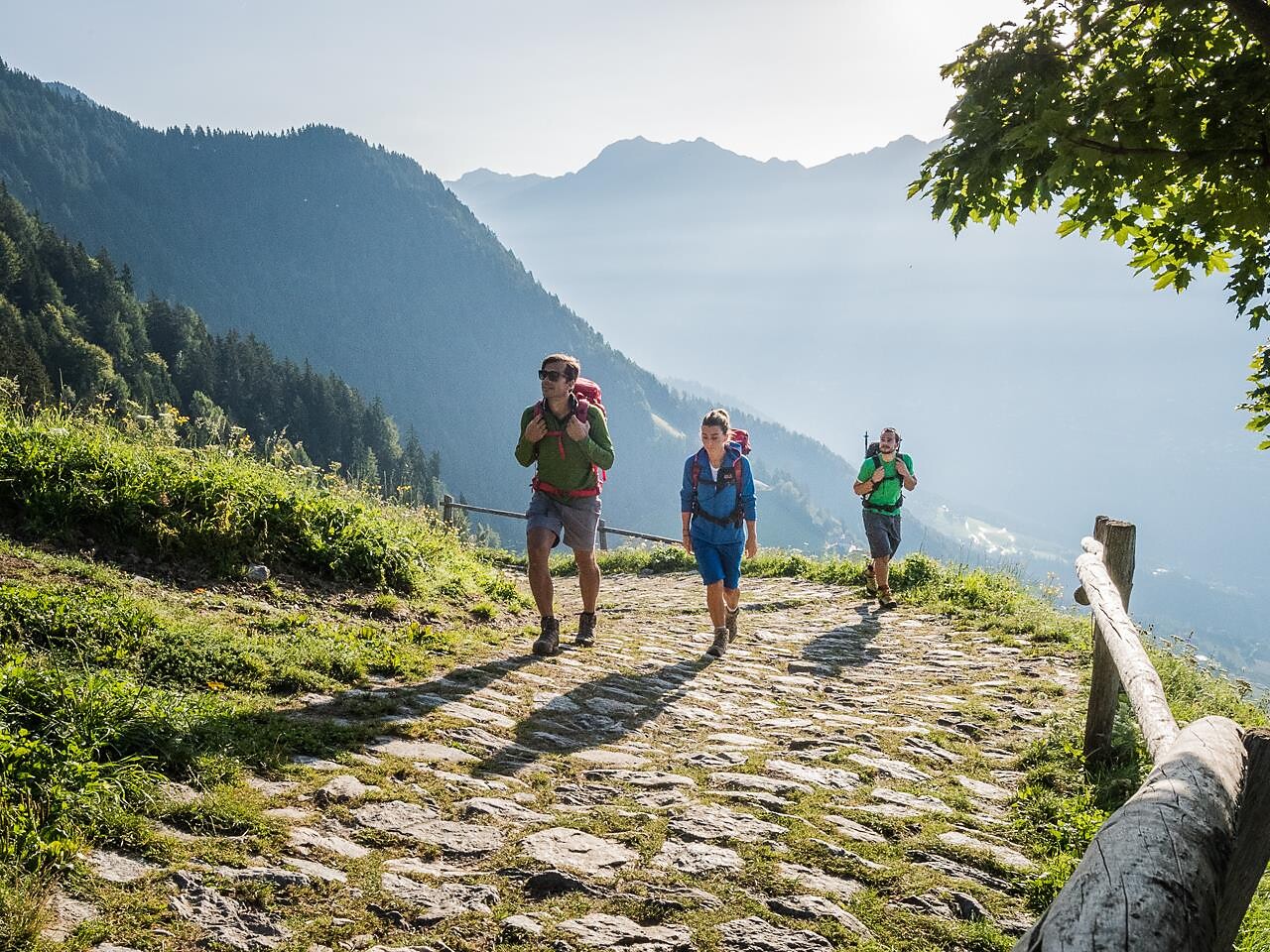 Geführte Gästewanderung: Zur Cisloner Alm im Naturpark Trudner Horn - Meran und Umgebung - #1 - suedtirol.info