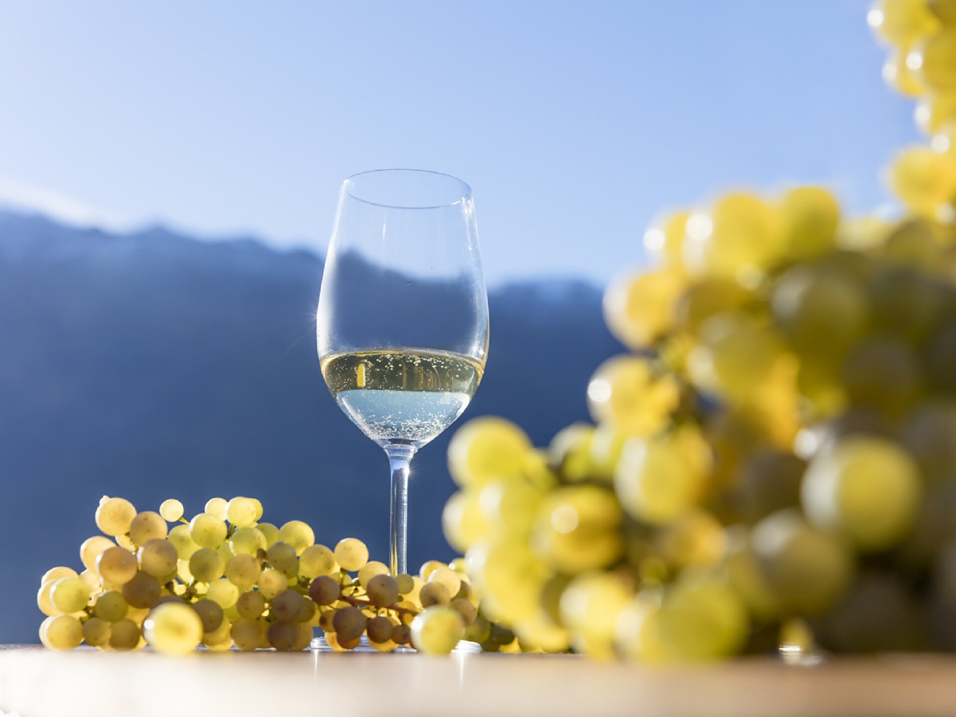Gourmetherbst: Wine & Dine im Hotel Prokulus ****s - Meran und Umgebung - #2 - suedtirol.info