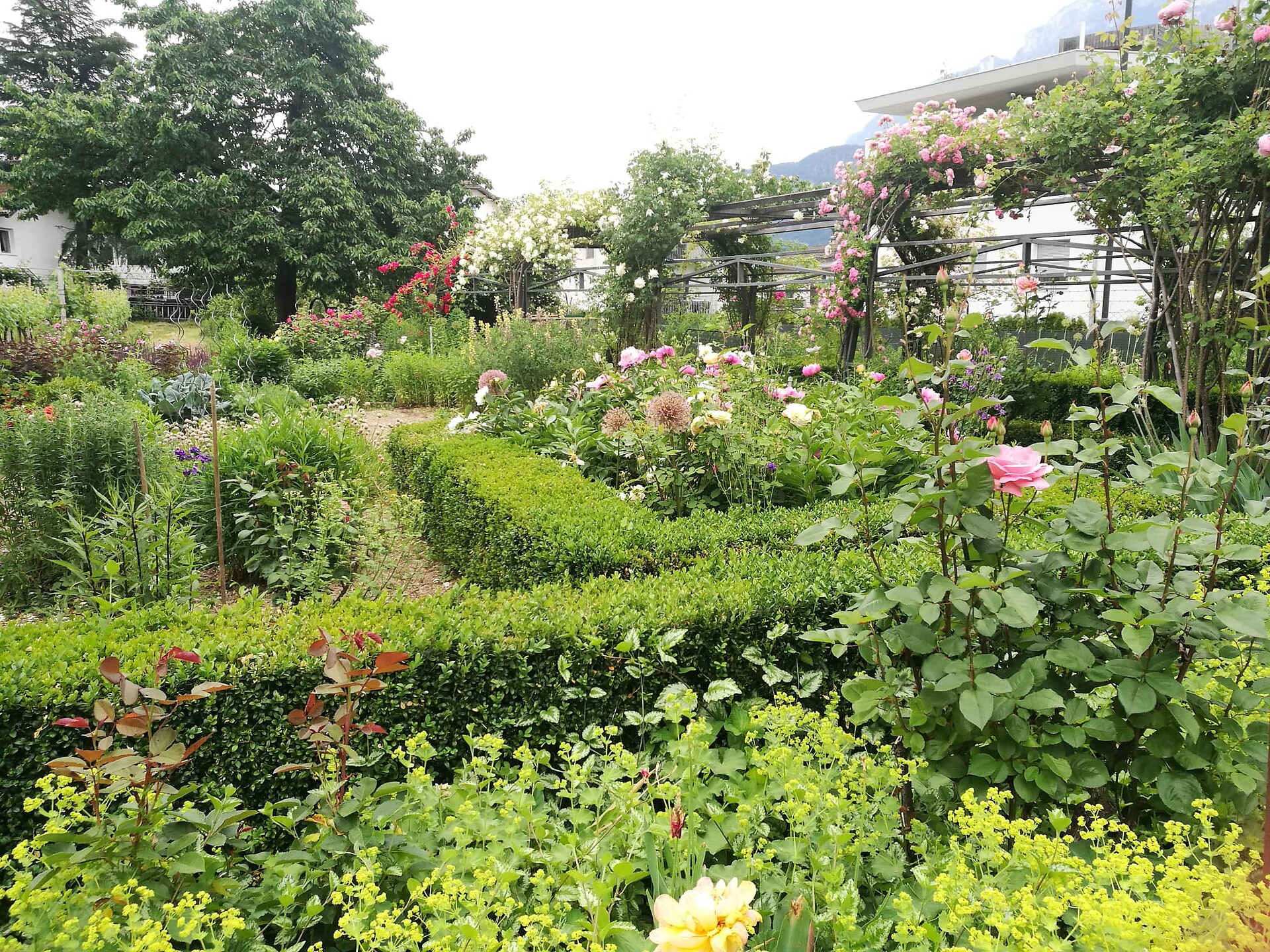Garten Adami an der Hauptstraße - Gartenliebe Andrian & Terlan 2026 - Südtiroler Weinstraße - #1 - suedtirol.info