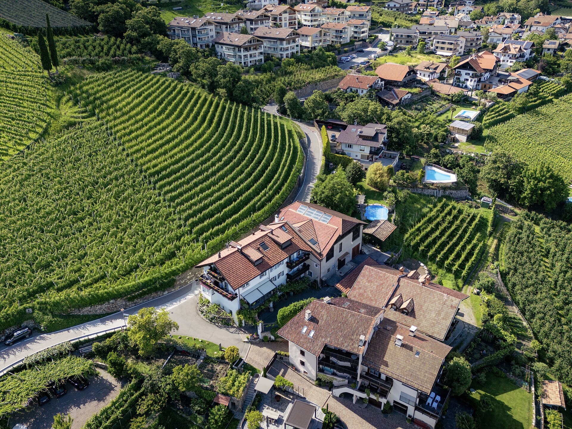 Genusspfad durch Weinberg und Keller - Aperitivo am Weingut Pardellerhof - Meran und Umgebung - #1 - suedtirol.info