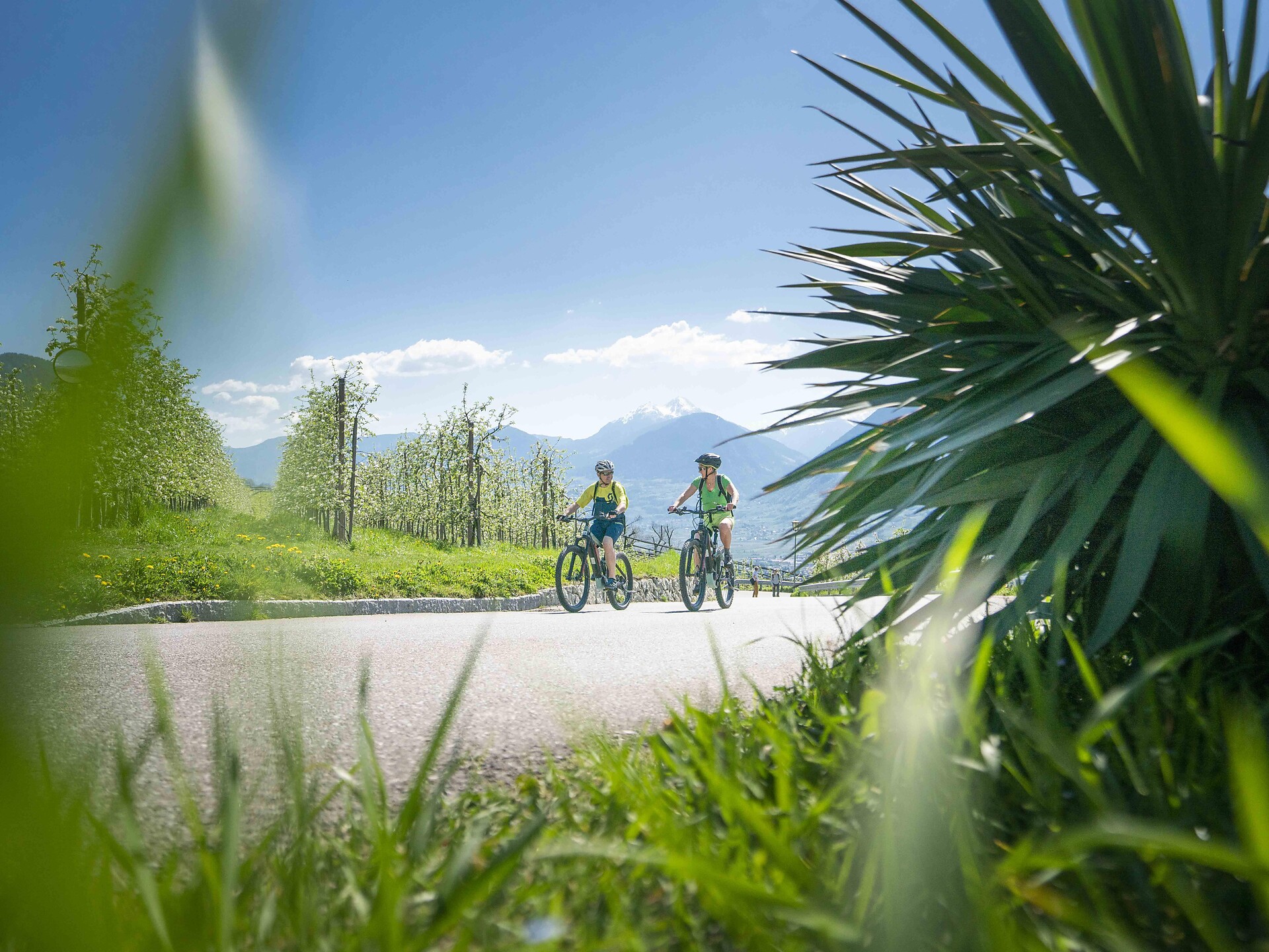 Genussradtour für Sportler | Schennaberg - Meran und Umgebung - #1 - suedtirol.info