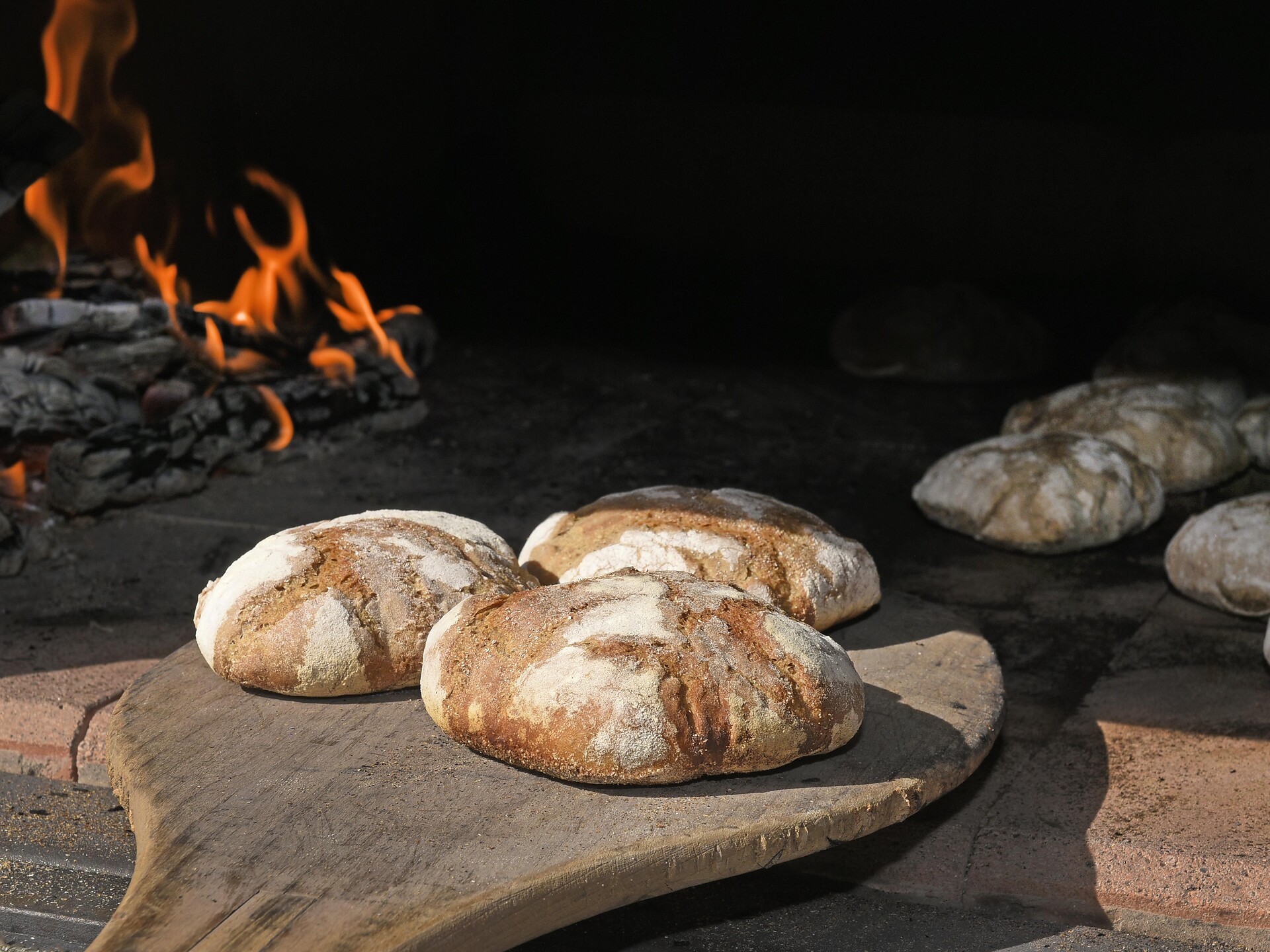 Genussradtour für Sportler | Schennaberg - Meran und Umgebung - #2 - suedtirol.info