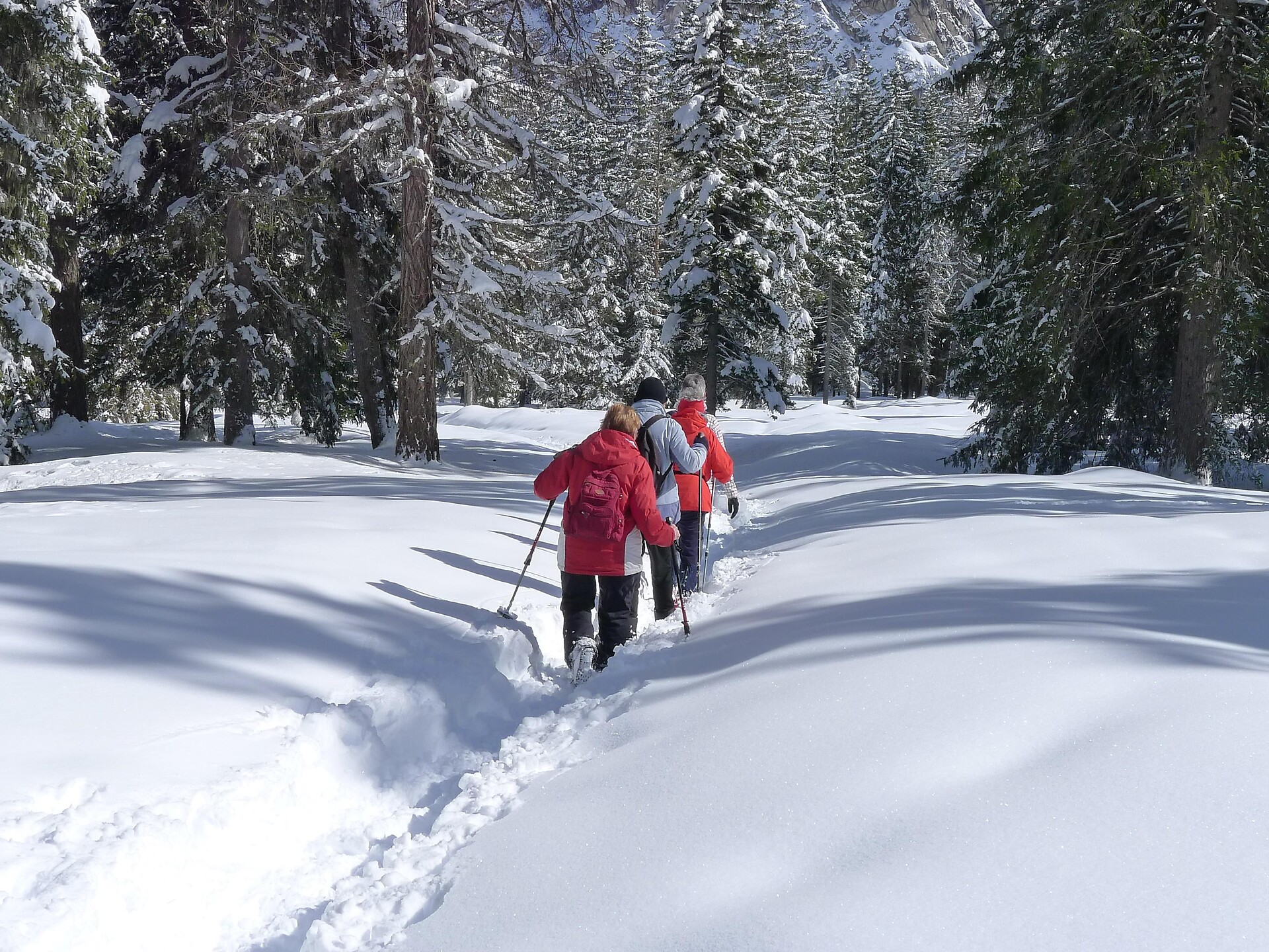 Escursione guidata invernale: Sulle tracce dei Salvans - Regione dolomitica Plan de Corones - #1 - suedtirol.info