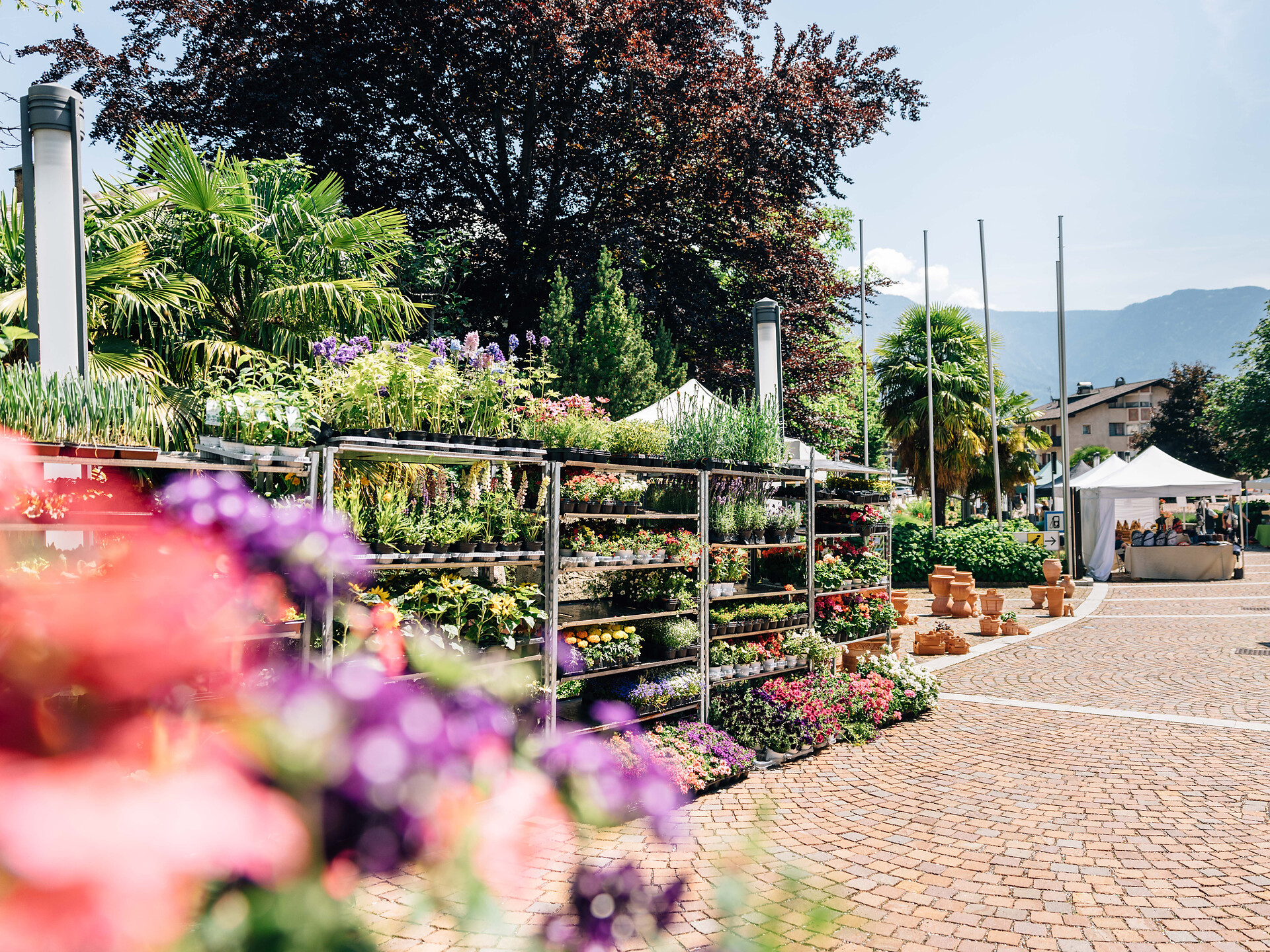 Gartenflair Musik mit The Sorrys - Meran und Umgebung - #2 - suedtirol.info