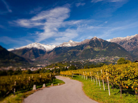 Guided E-Bike Ride Tirol/Tirolo 1 suedtirol.info