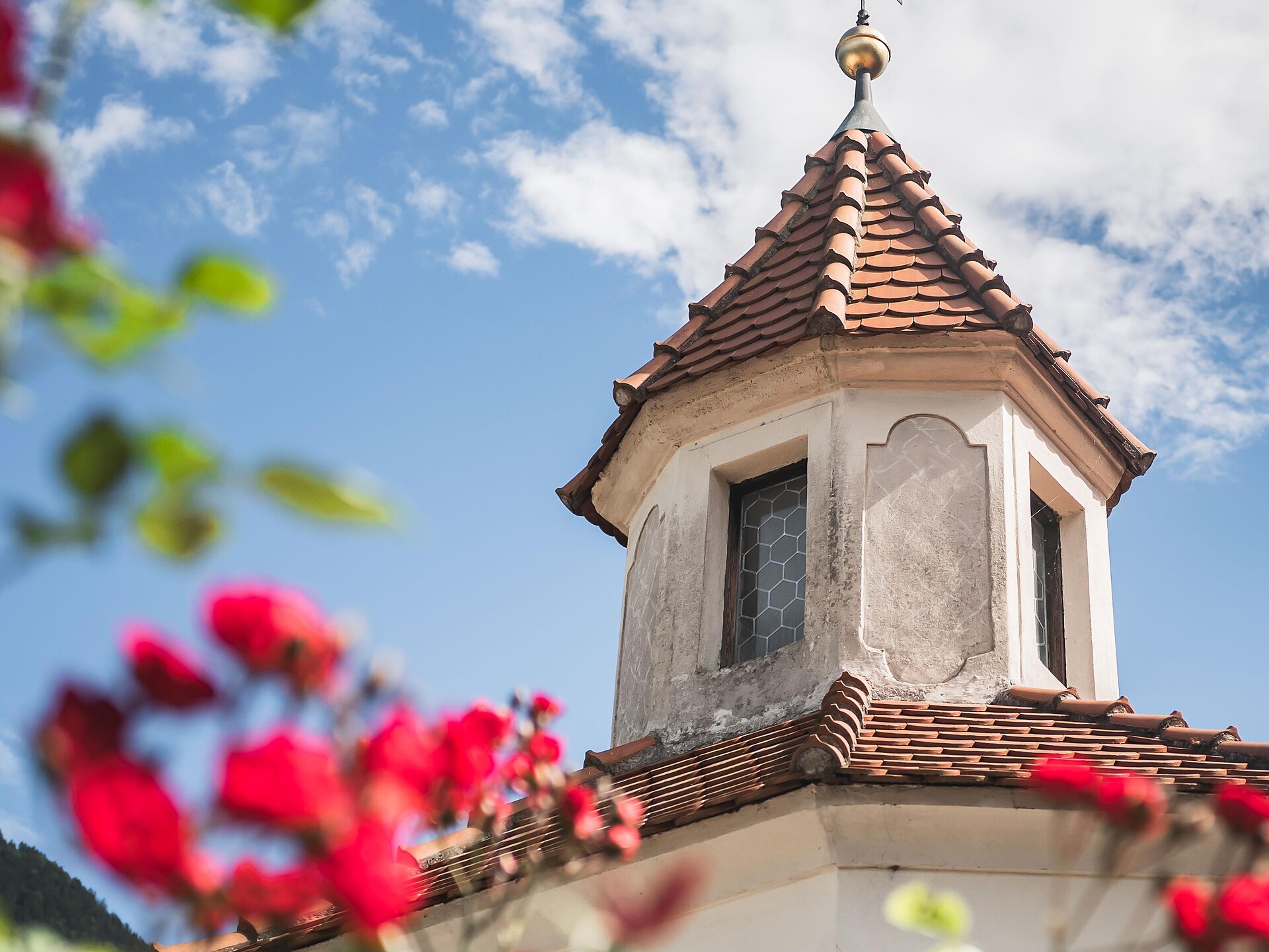 Guided spring hike in Barbian - Brixen/Bressanone and environs - #3 - suedtirol.info