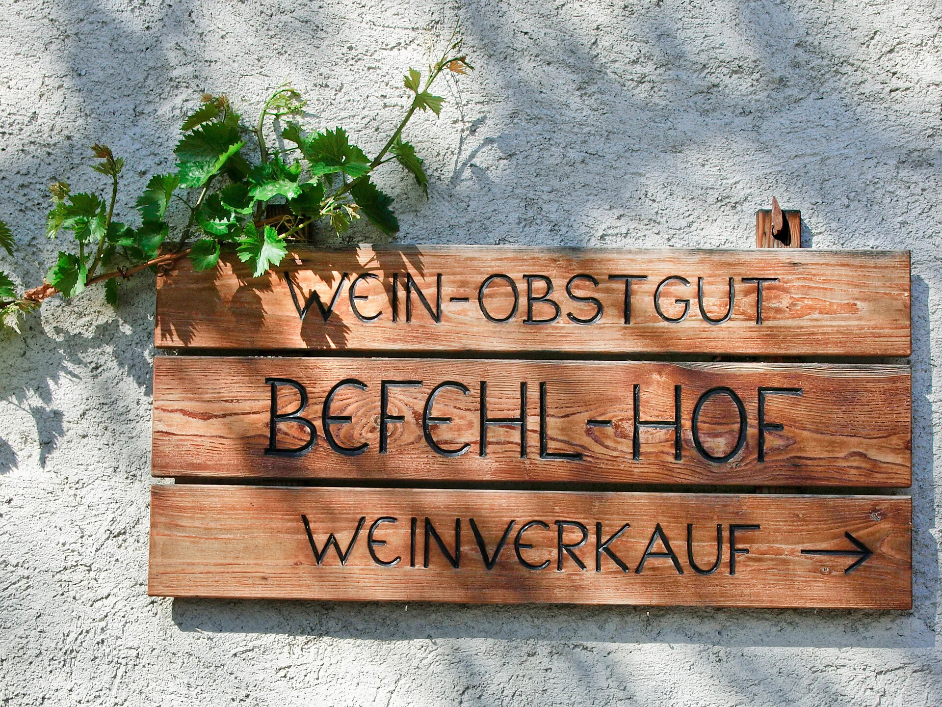 Gourmet autumn: Via Vinum Venostis - wine growing in Vetzan: Befehlhof - Meran/Merano and environs - #1 - suedtirol.info