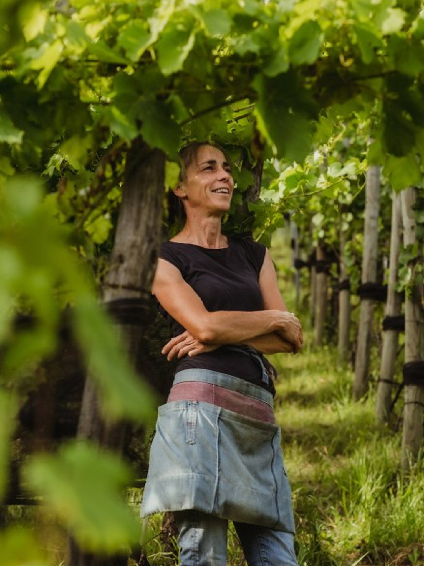 Gourmet autumn: Via Vinum Venostis - wine growing in Vetzan: Befehlhof - Meran/Merano and environs - #5 - suedtirol.info