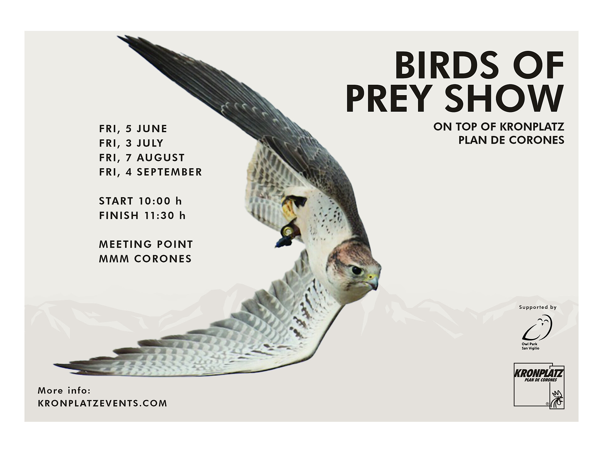 Birds of prey show at Kronplatz - Dolomites Region Kronplatz/Plan de Corones - #1 - suedtirol.info