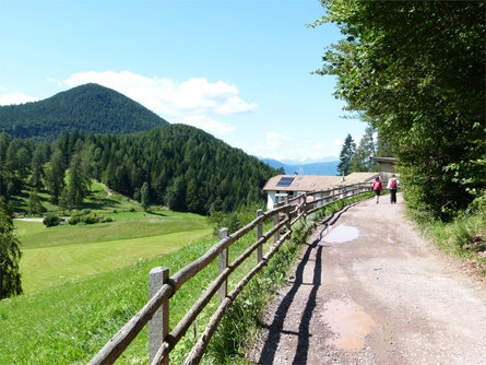 Escursione guidata nel Parco Naturale Monte Corno "La mulattiera da Trodena” Trodena 1 suedtirol.info