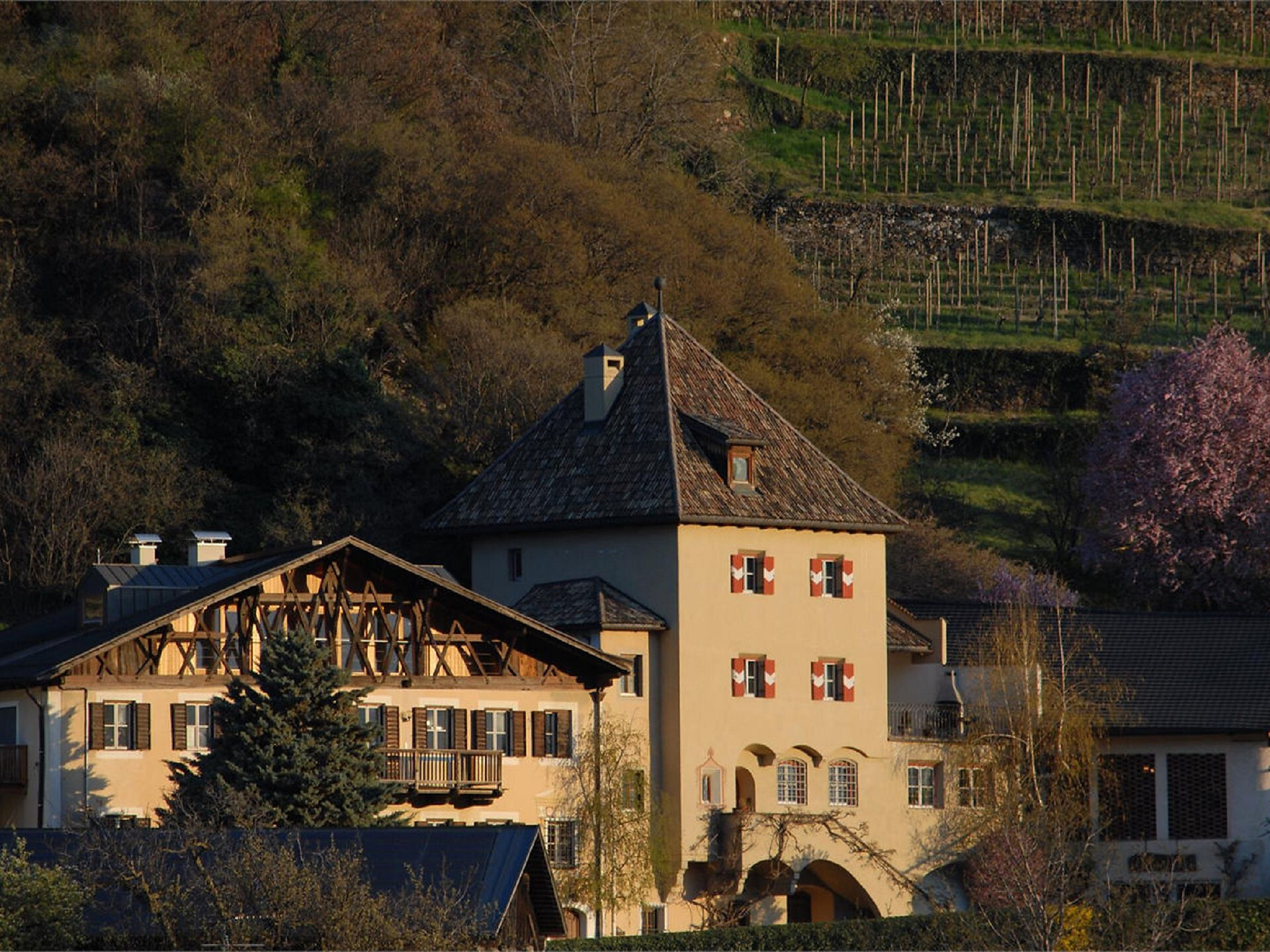 Gourmet autumn: Via Vinum Venostis - wine growing in Kastelbell: Köfelgut - Meran/Merano and environs - #1 - suedtirol.info