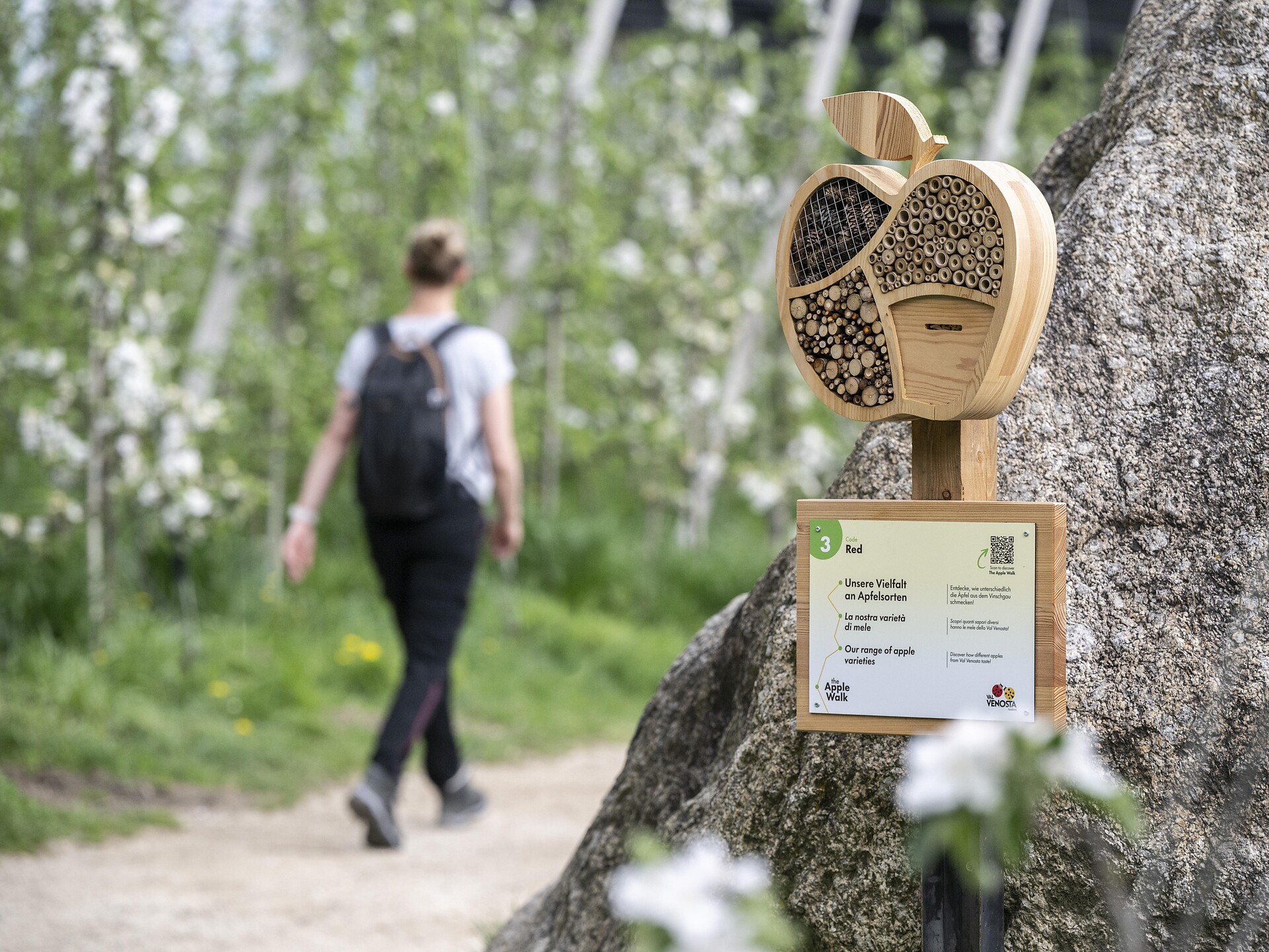Apfelgenuss am Apple Walk mit Bäuerin & Apfelsommelier Julia - Vinschgau - #1 - suedtirol.info
