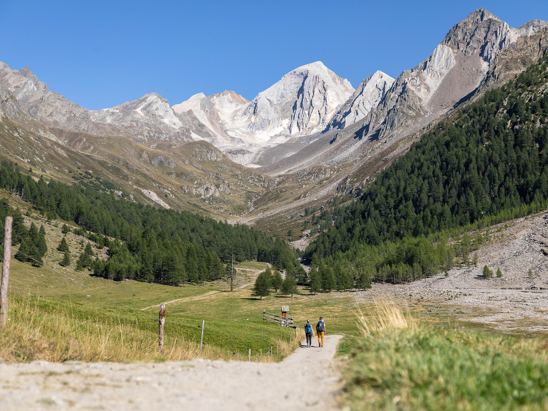 Escursione guidata "Val di Fosse - Malga Eishof" - Merano e dintorni - #1 - suedtirol.info