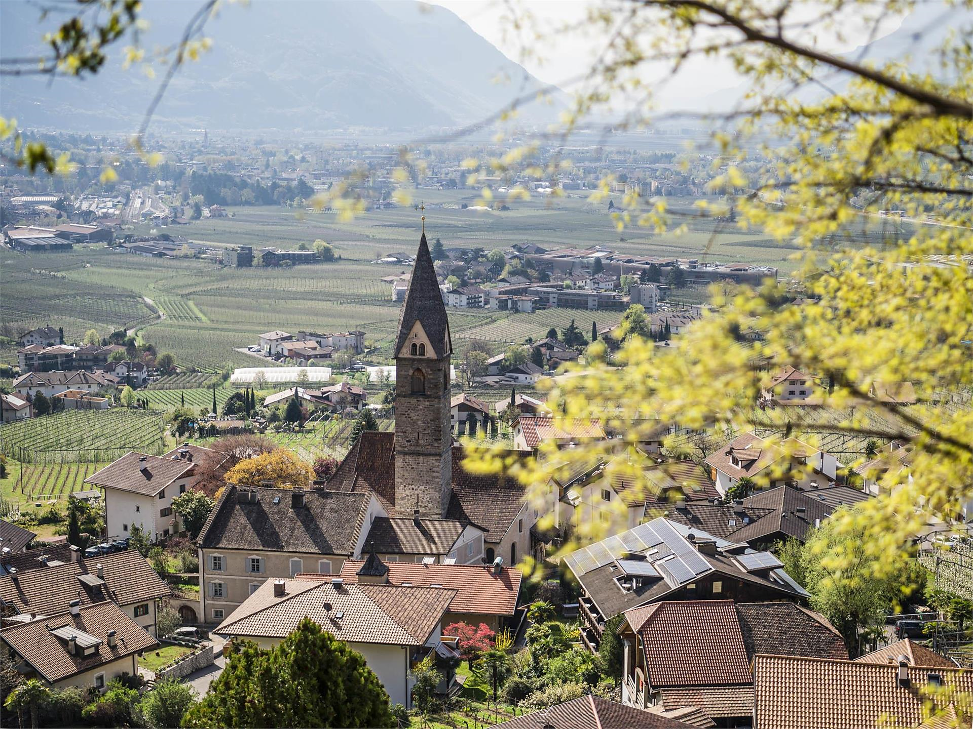 Benvenuto agli ospiti con visita guidata del paese Lagundo 3 suedtirol.info