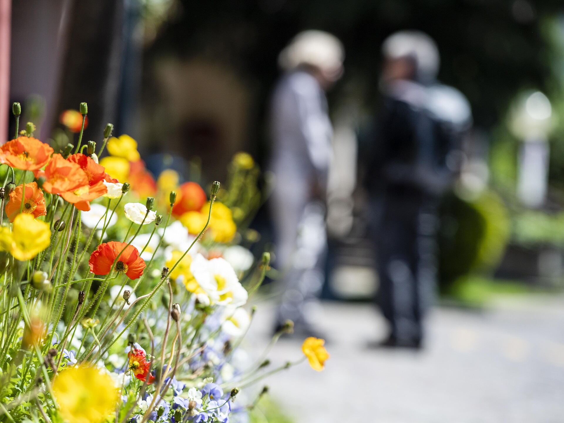 Gardenflair Livemusic: Cabriolet - Meran/Merano and environs - #1 - suedtirol.info