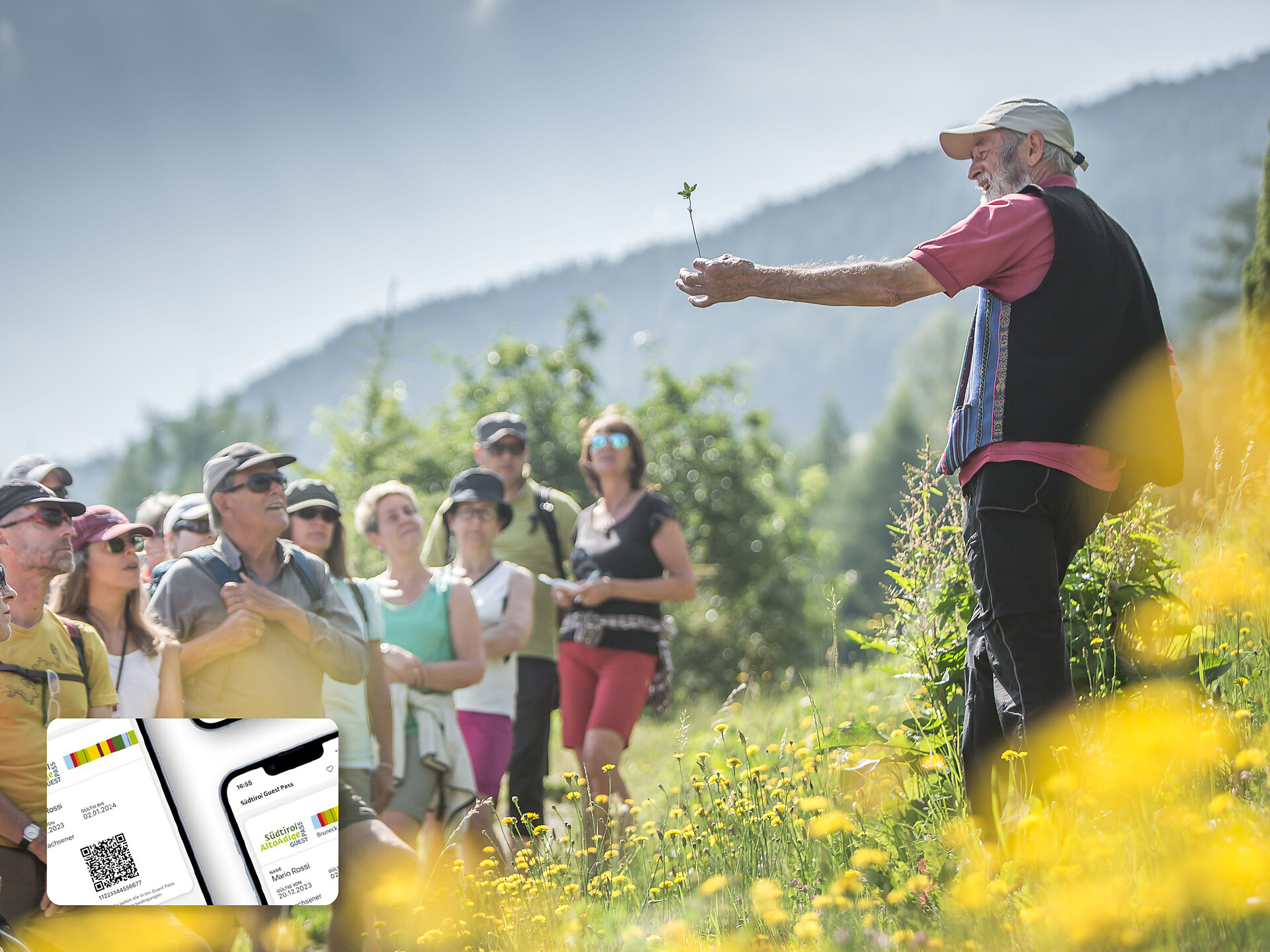 GUEST PASS | Die Wildkräutertour: Kornblume, Kamille & Co Ahrntal 1 suedtirol.info