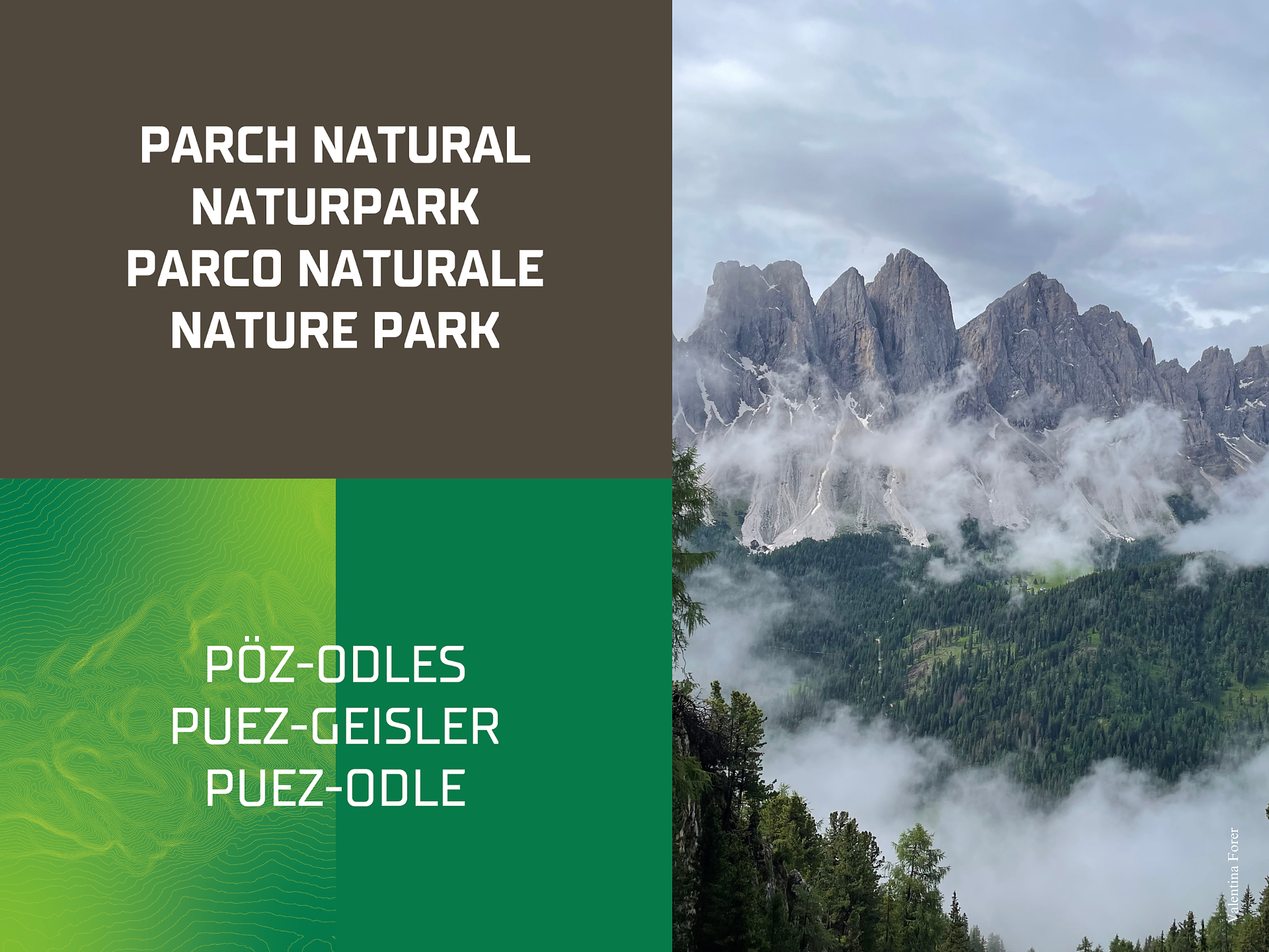 Escursione guidata: All’alpeggio estivo della pecora "con gli occhiali" - Regione dolomitica Luson Val di Funes - #1 - suedtirol.info