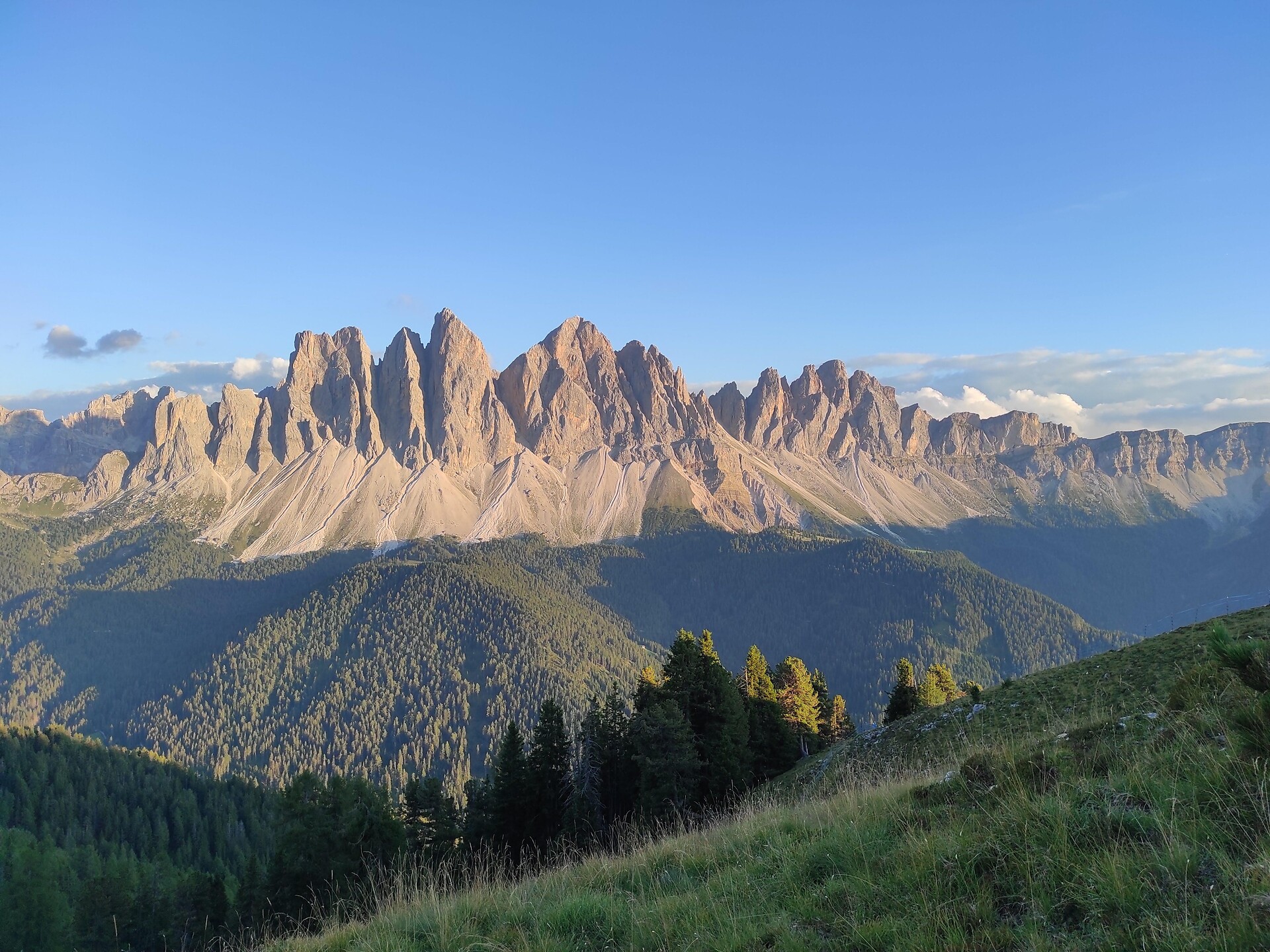Escursione guidata: All’alpeggio estivo della pecora "con gli occhiali" - Regione dolomitica Luson Val di Funes - #3 - suedtirol.info
