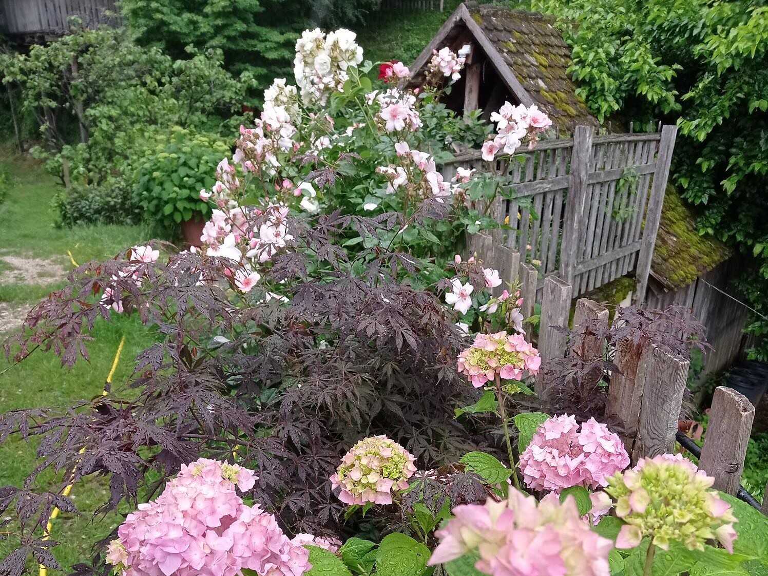 Garden at Wolfsthurn Castle - The Garden of Andriano & Terlano 2026 - Alto Adige Wine Road - #2 - suedtirol.info