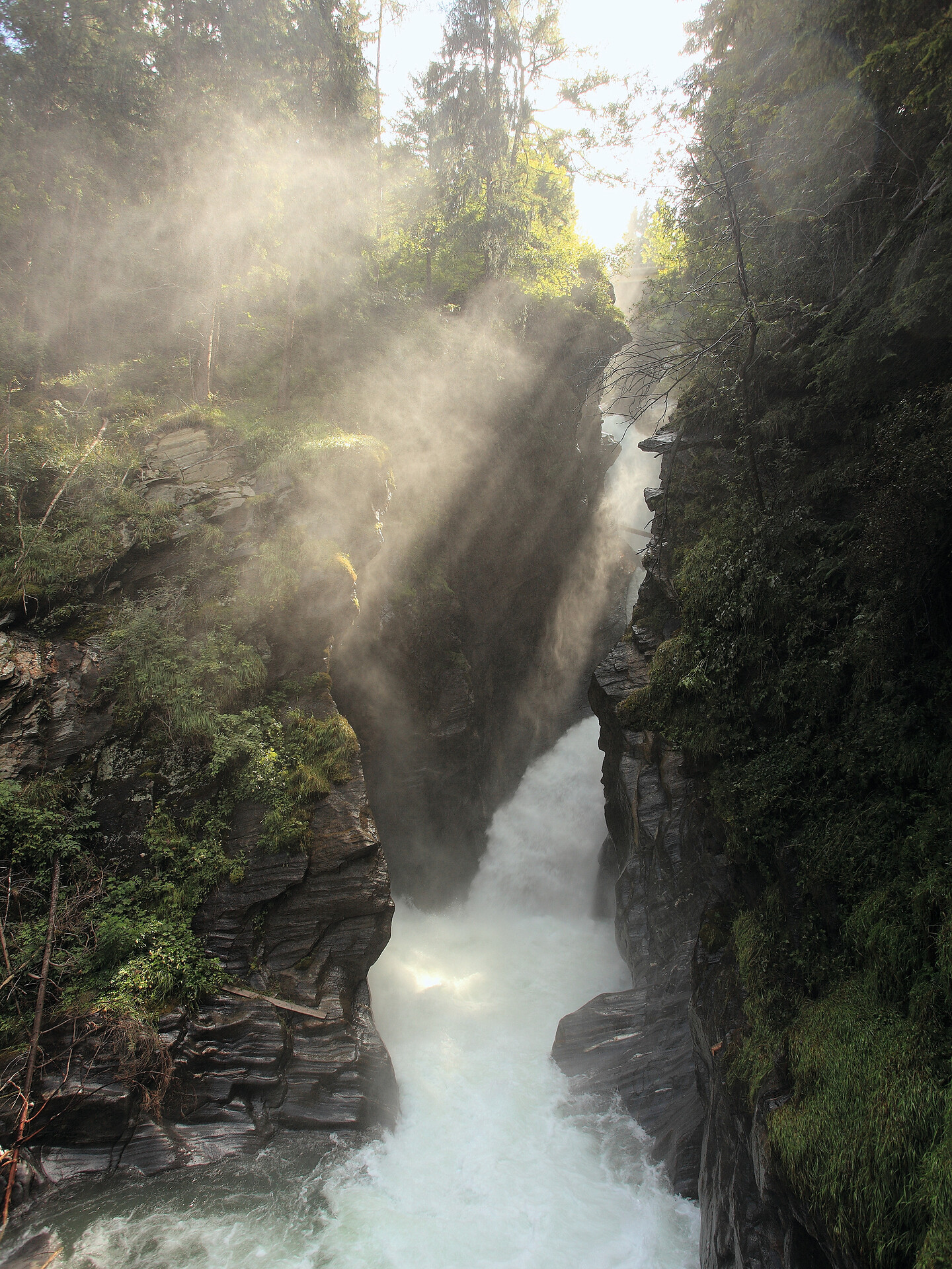 Geführte Wanderung im Naturpark: Wasser und Natur - Meran und Umgebung - #2 - suedtirol.info