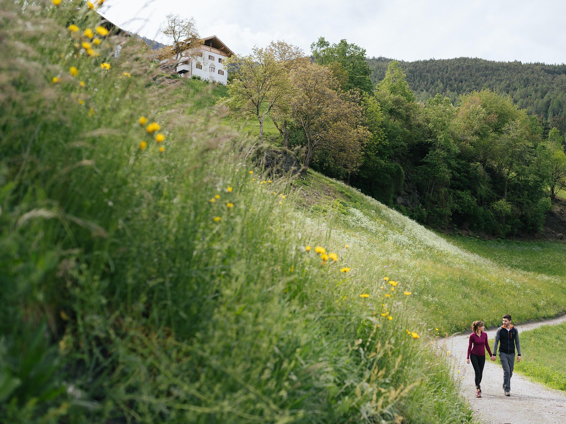Gufidauner Frühlingswanderung Klausen 2 suedtirol.info