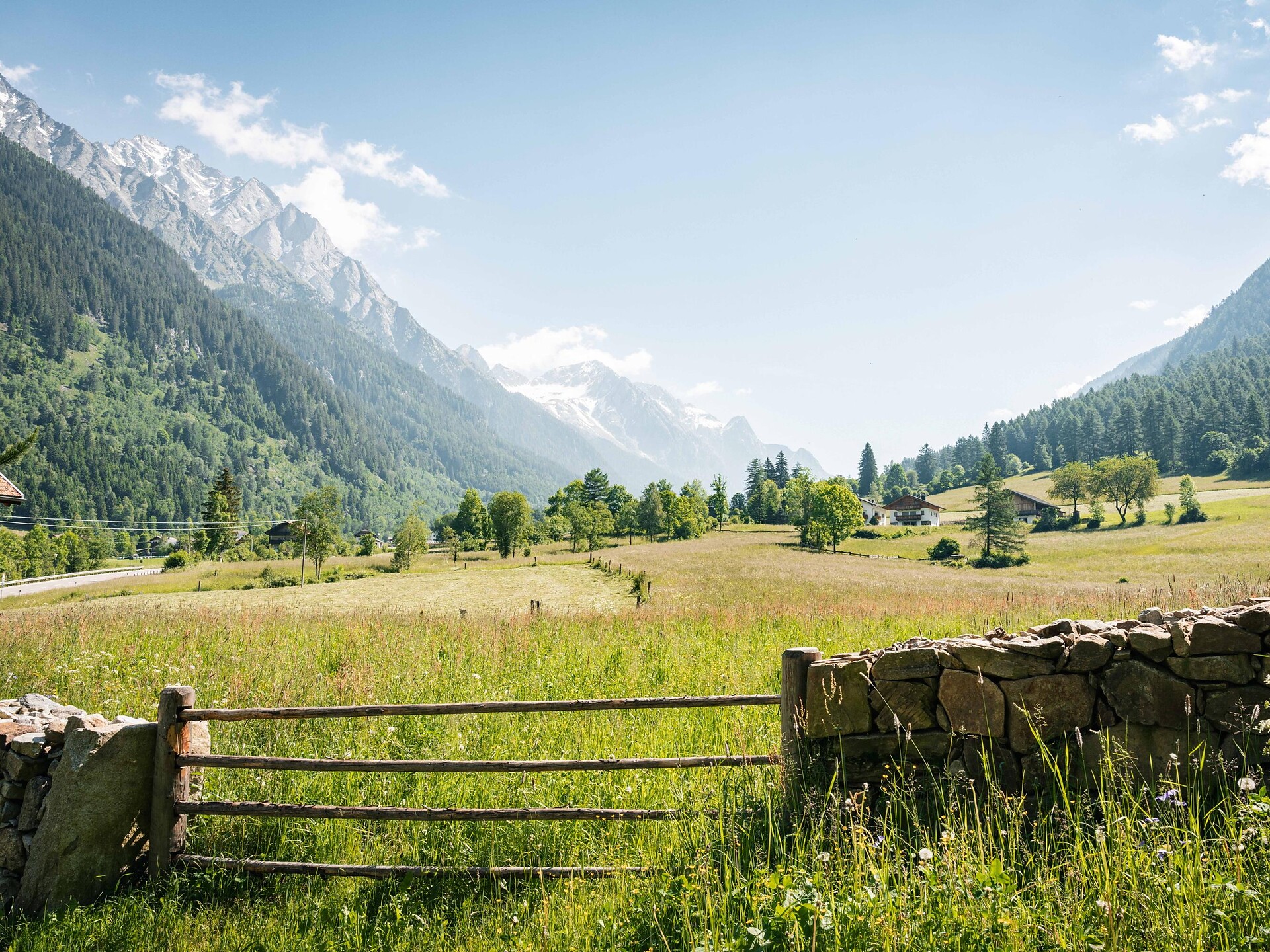 Escursione panoramica con Gilbert: lungo lo storico sentiero dei mulini - Regione dolomitica Plan de Corones - #3 - suedtirol.info