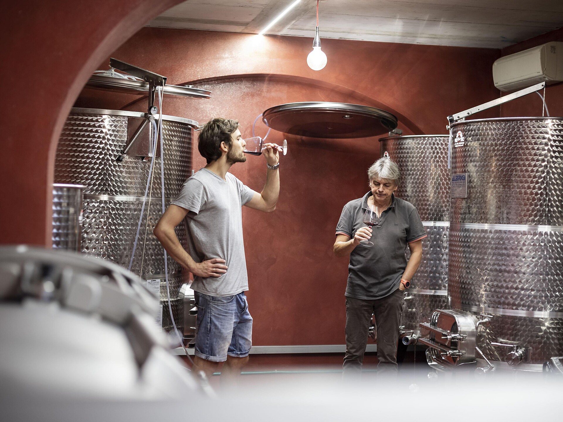 Geologie & Wein - Südtiroler Weinstraße - #2 - suedtirol.info