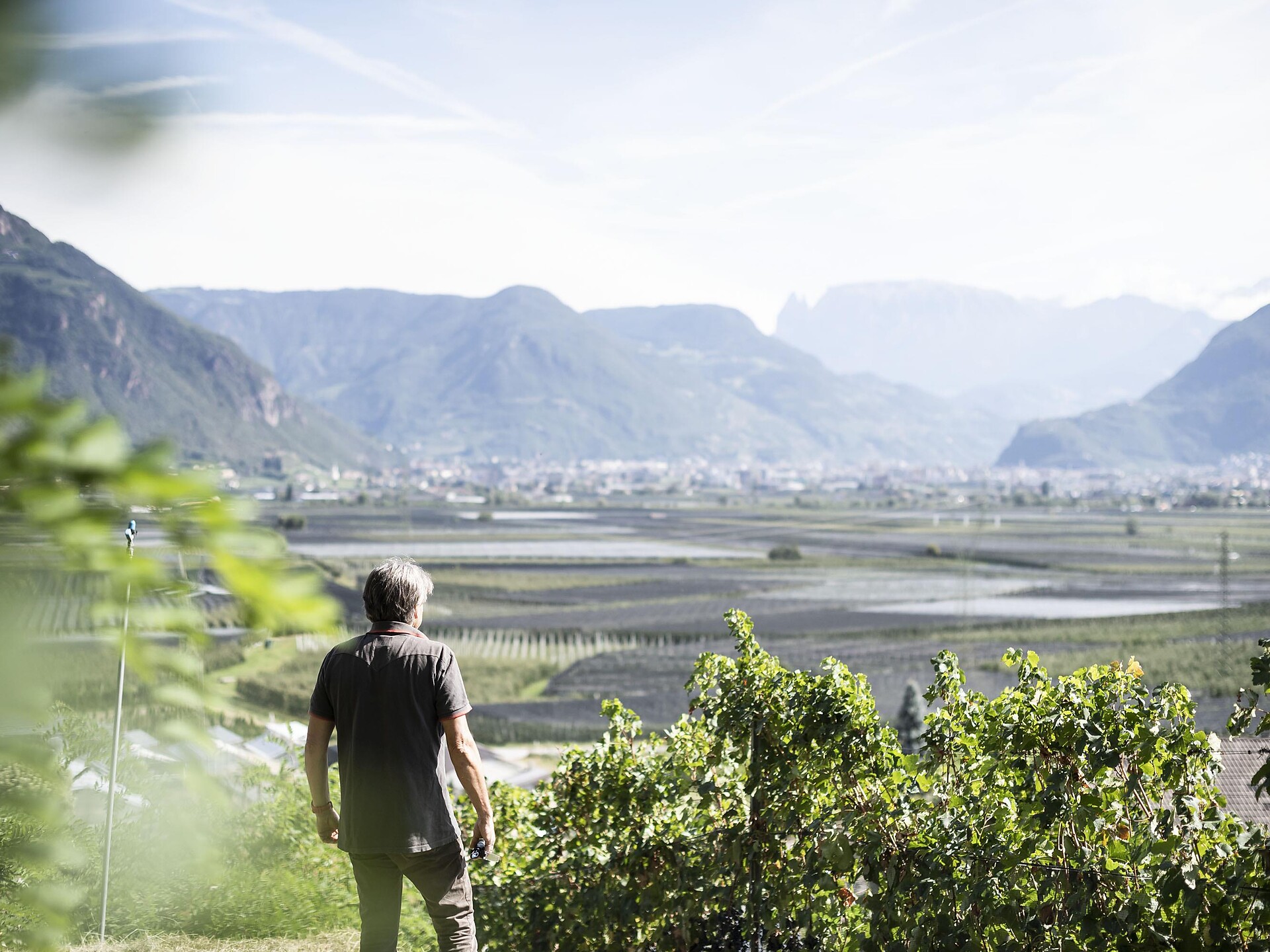 Geologie & Wein - Südtiroler Weinstraße - #1 - suedtirol.info