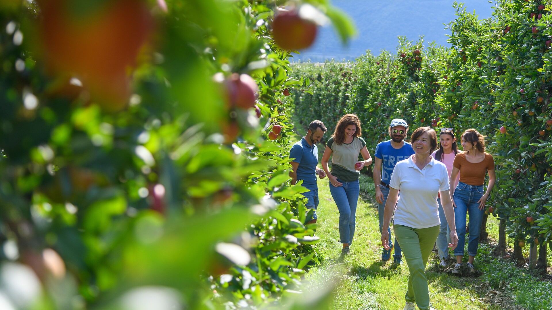 Genussvoll entlang des Apfelweges in Kurtatsch - Südtiroler Weinstraße - #2 - suedtirol.info