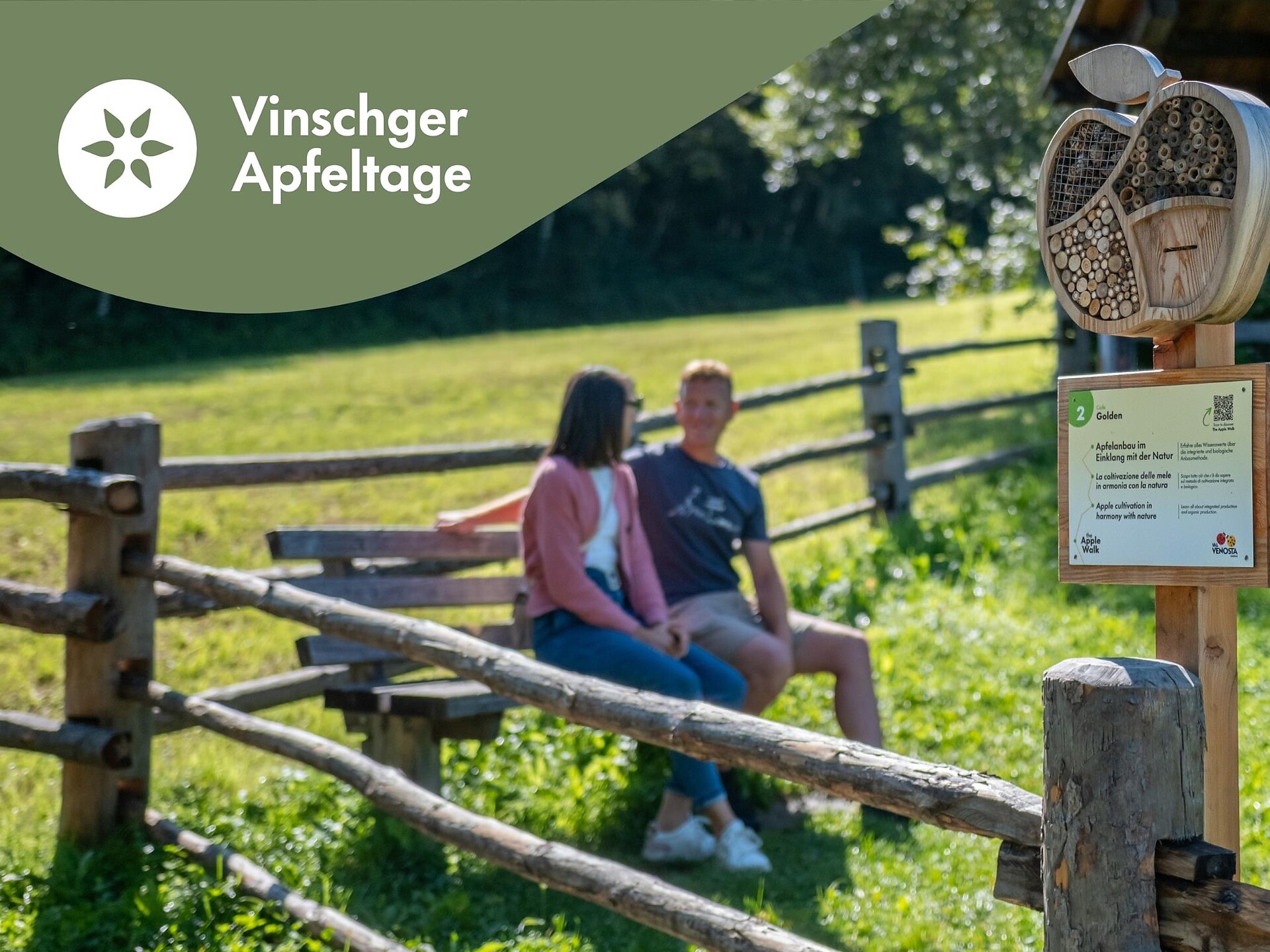 Vinschger Apfeltage - Geführte Wanderung auf dem Apple Walk - Vinschgau - #1 - suedtirol.info