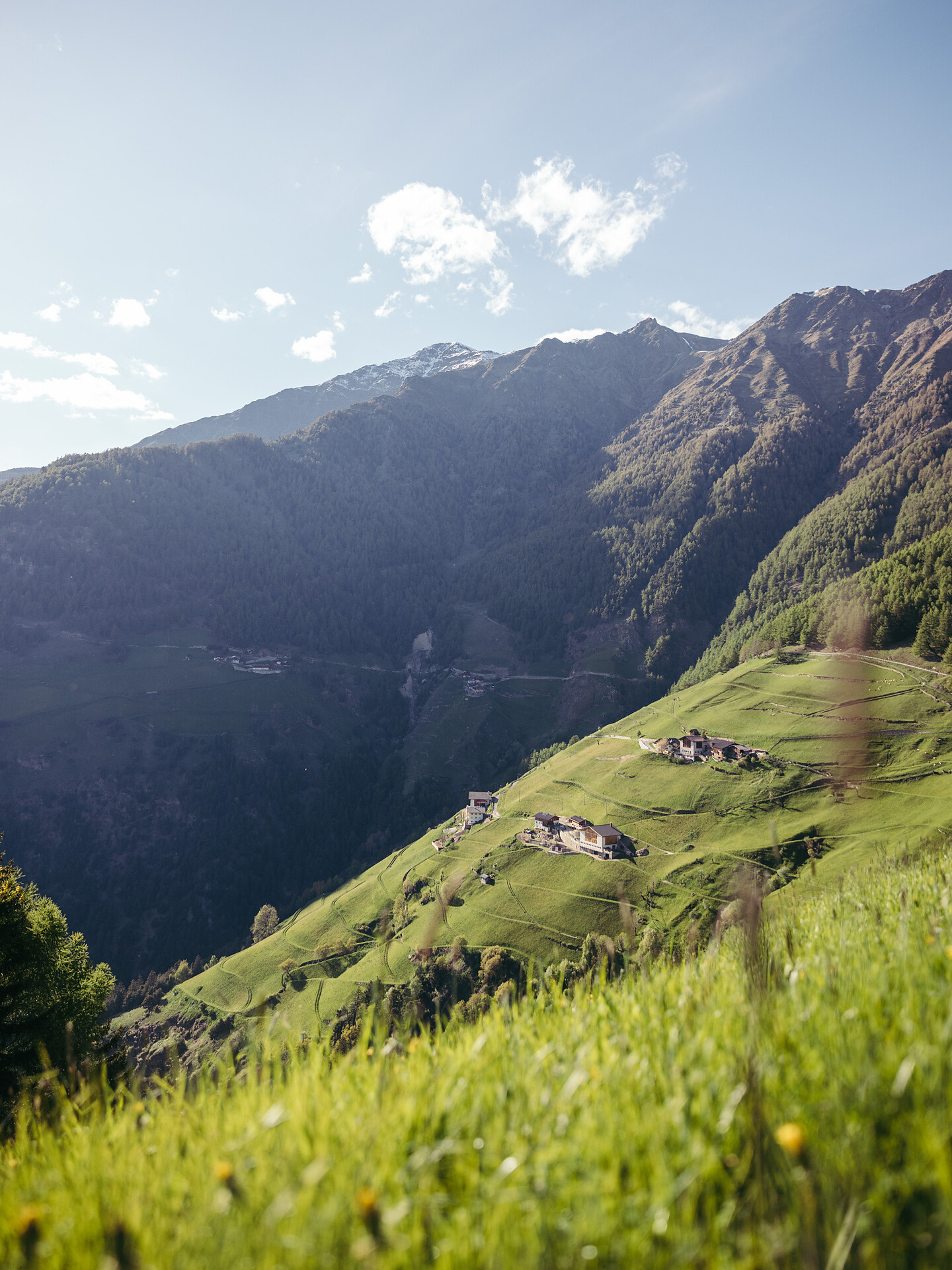 Escursione guidata "Percorso circolare a San Martino al Monte" - Merano e dintorni - #1 - suedtirol.info