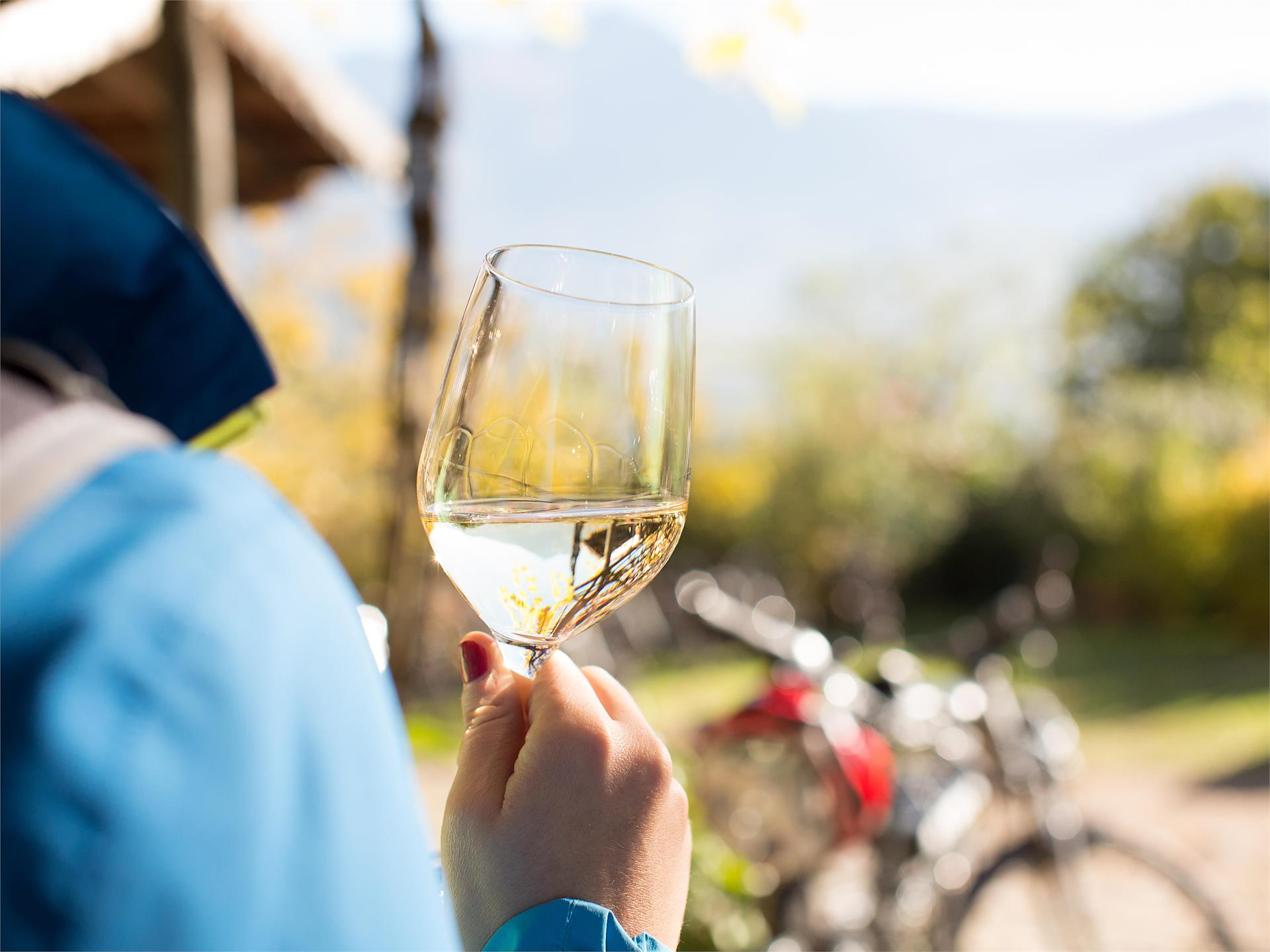 Sissi Tours: Gastronomic tour with the E-bike of the Merano area Meran/Merano 1 suedtirol.info