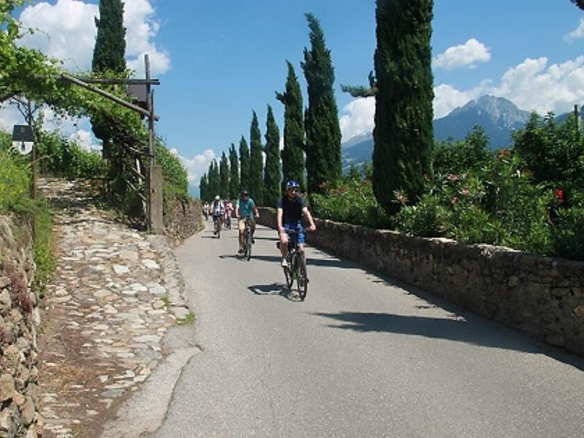Sissi Tours: Gastronomic tour with the E-bike of the Merano area Meran/Merano 3 suedtirol.info