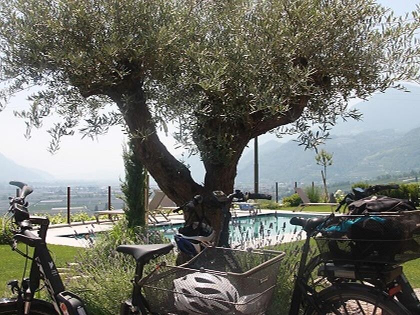Sissi Tours: Gastronomic tour with the E-bike of the Merano area Meran/Merano 2 suedtirol.info