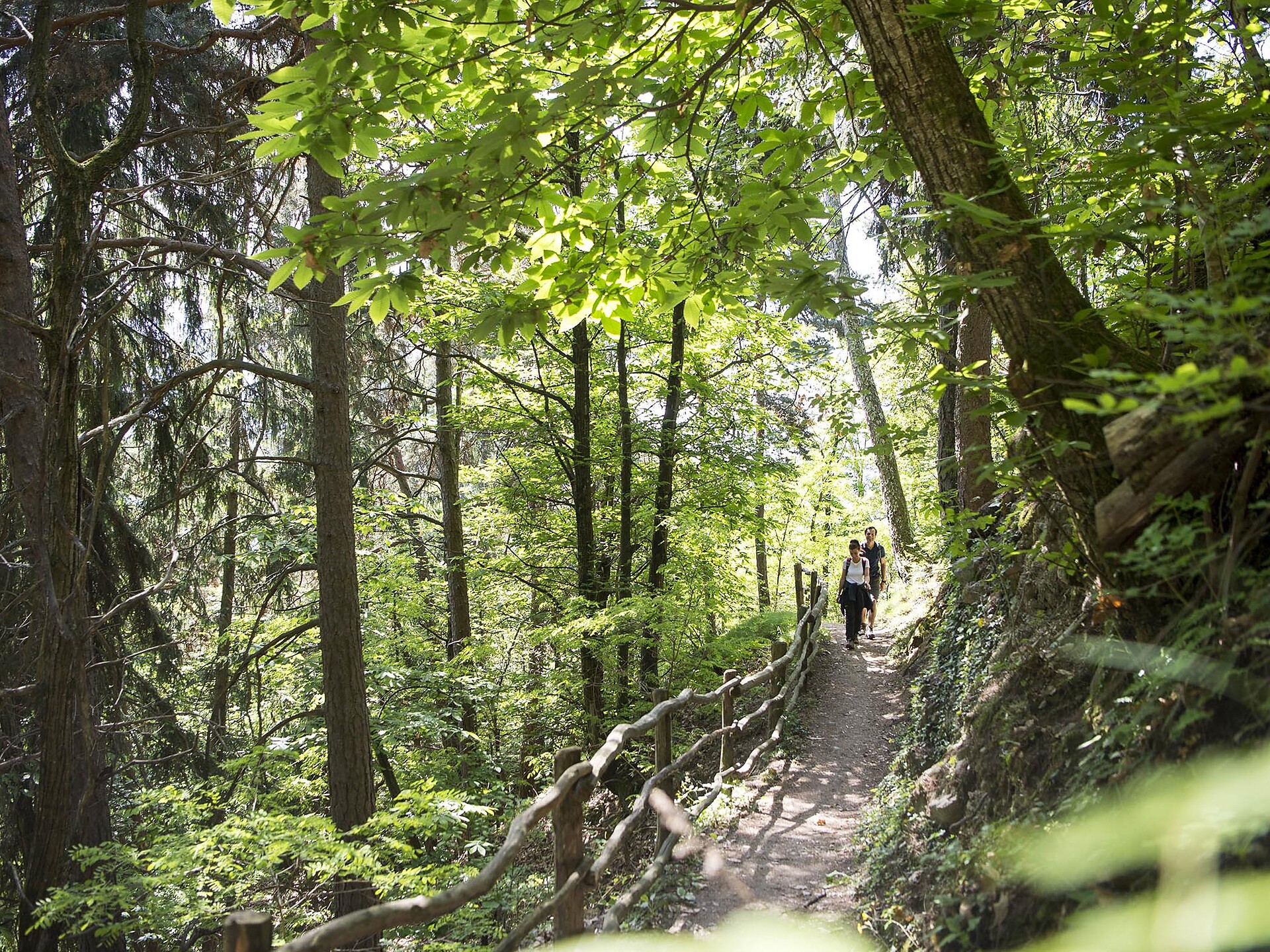 Geführte Gästewanderung: Zur Wallfahrtskirche Maria Saal am Ritten - Meran und Umgebung - #1 - suedtirol.info