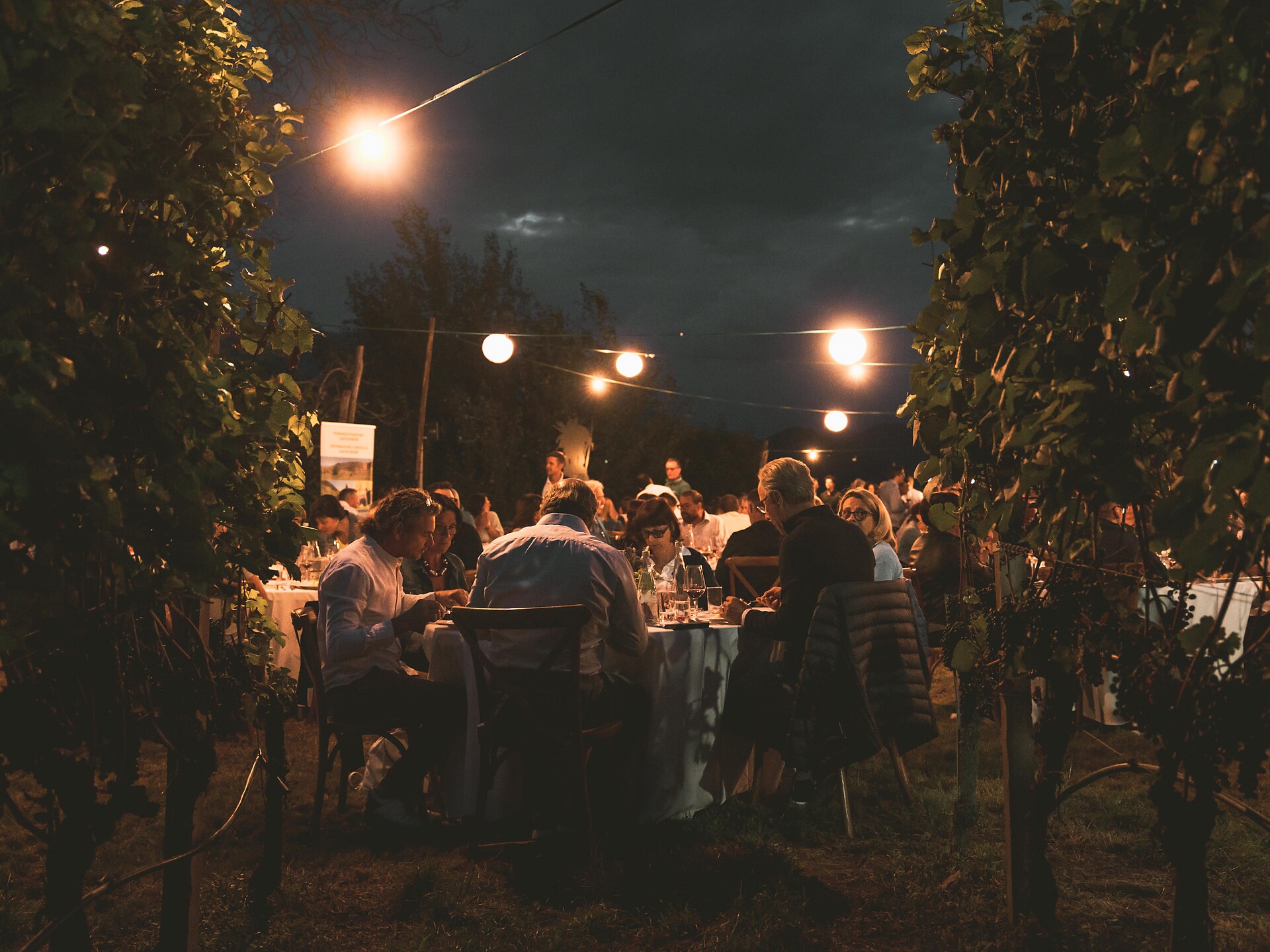 Glen & Wine - Pinot Noir Edition - Südtiroler Weinstraße - #3 - suedtirol.info