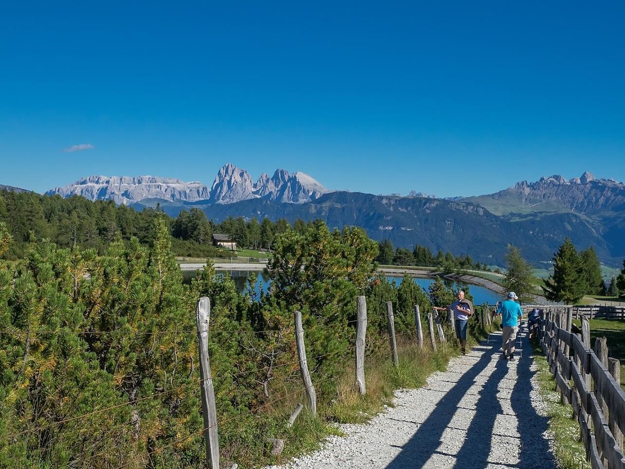 Passeggiata guidata con vista a 360° sull'Alpe di Villandro Villandro 2 suedtirol.info