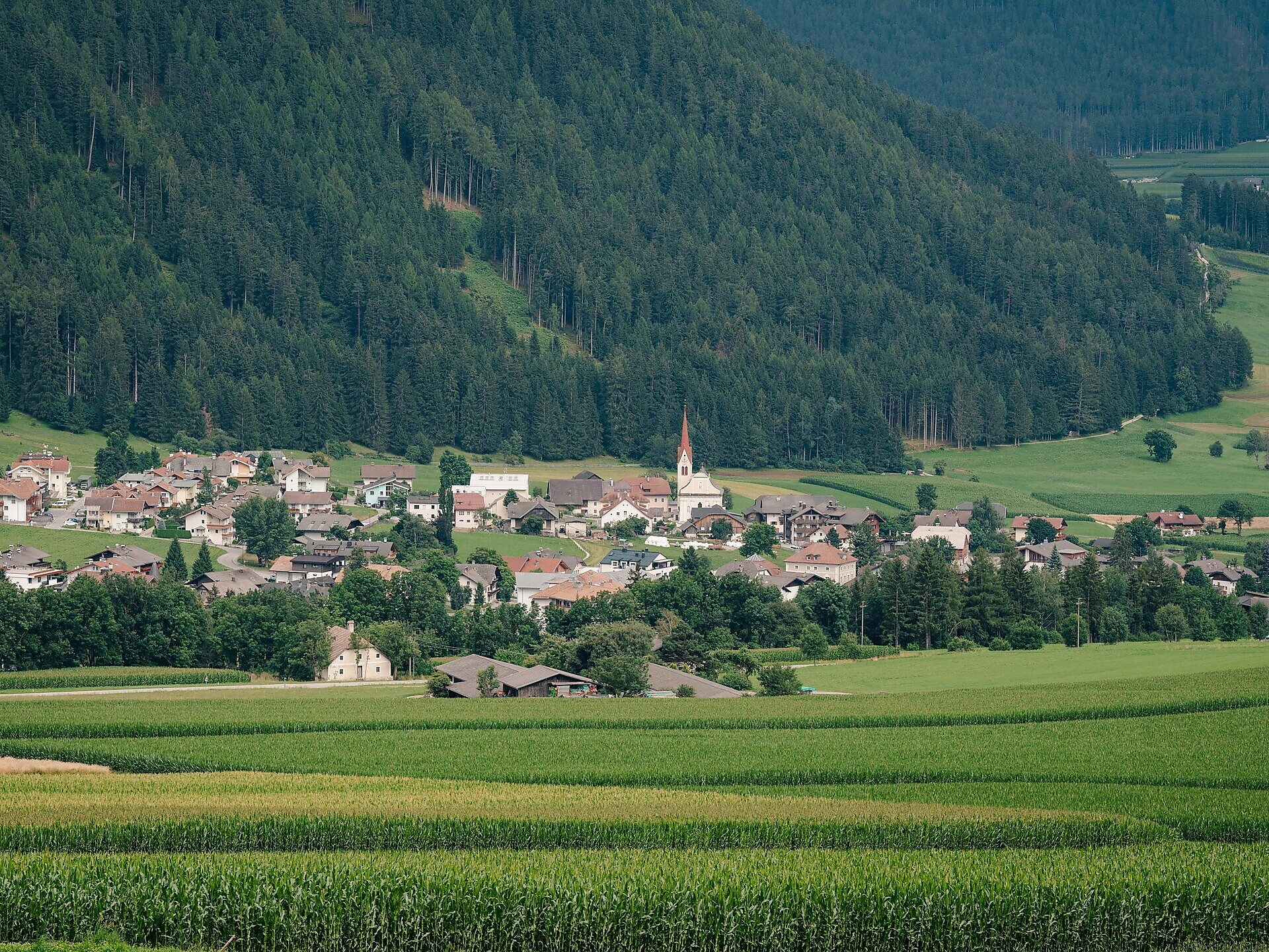 Genusswanderung mit Gilbert: Naturerlebnis Rasner Möser & Dorfrunde - Dolomitenregion Kronplatz - #3 - suedtirol.info