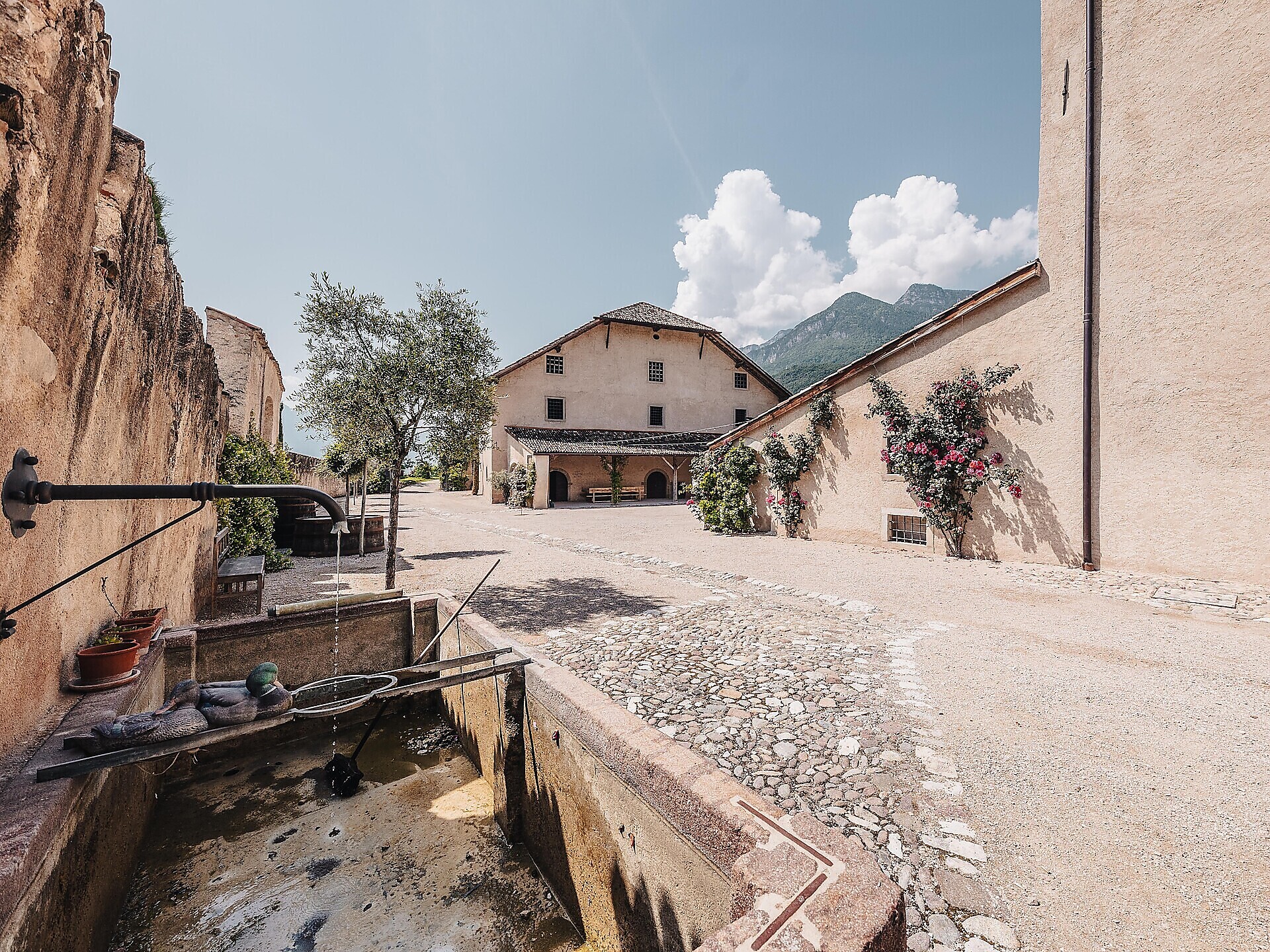 Gutsführung mit Verkostung von Grappa, Destillaten, Likören & Weinen - Südtiroler Weinstraße - #1 - suedtirol.info