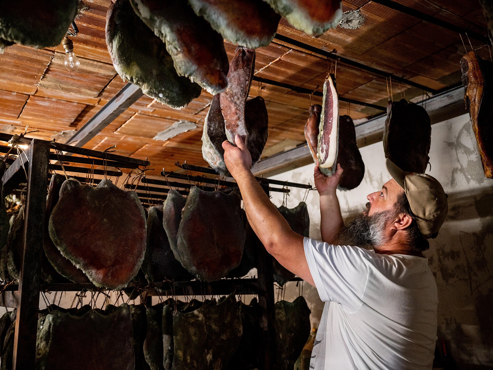 Gourmet cycling tour for athletes | Tall - Meran/Merano and environs - #3 - suedtirol.info