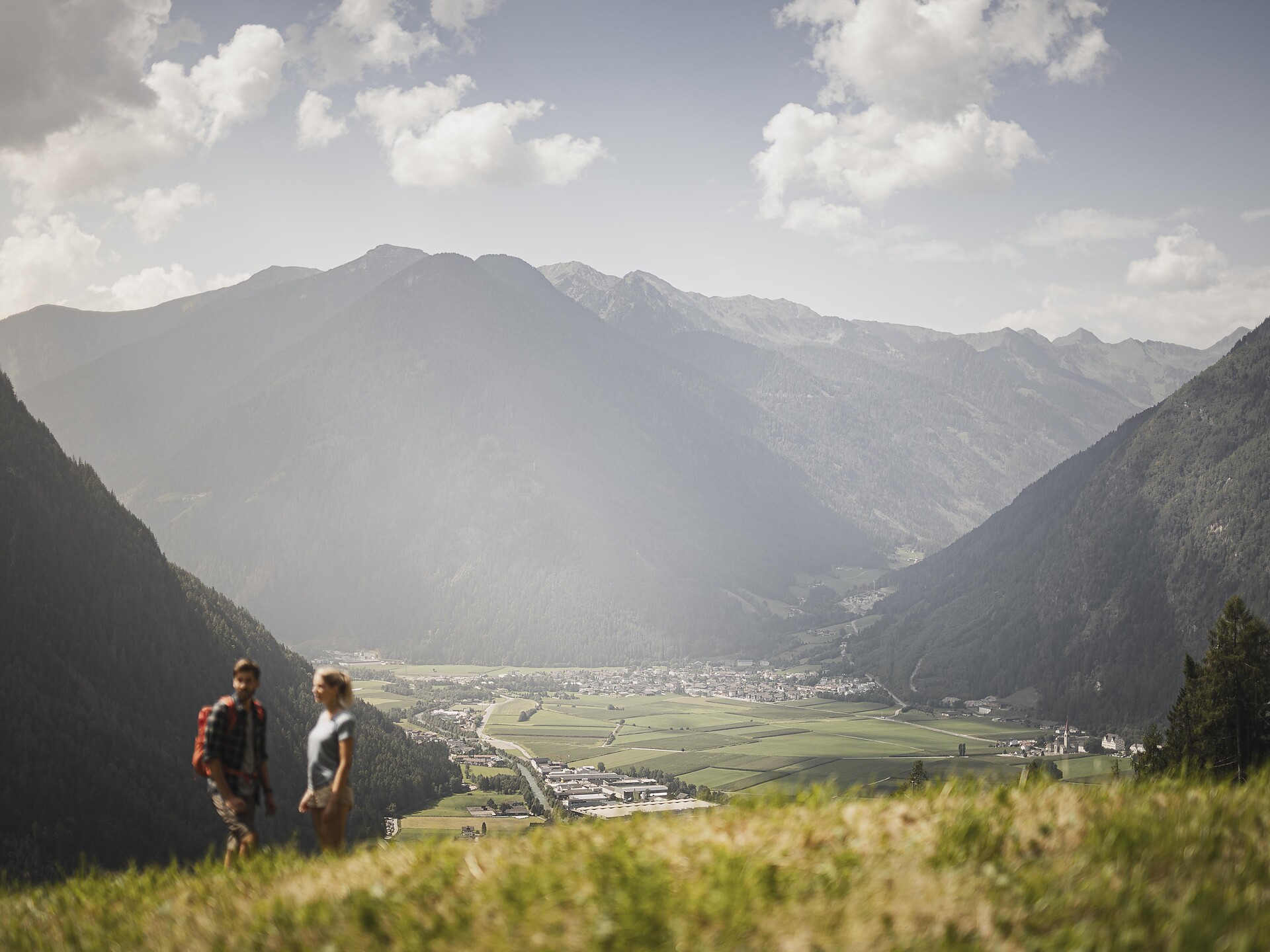GUEST PASS HIGHLIGHT | Zugvögel auf der Reise in die Brutgebiete - Ahrntal - #1 - suedtirol.info