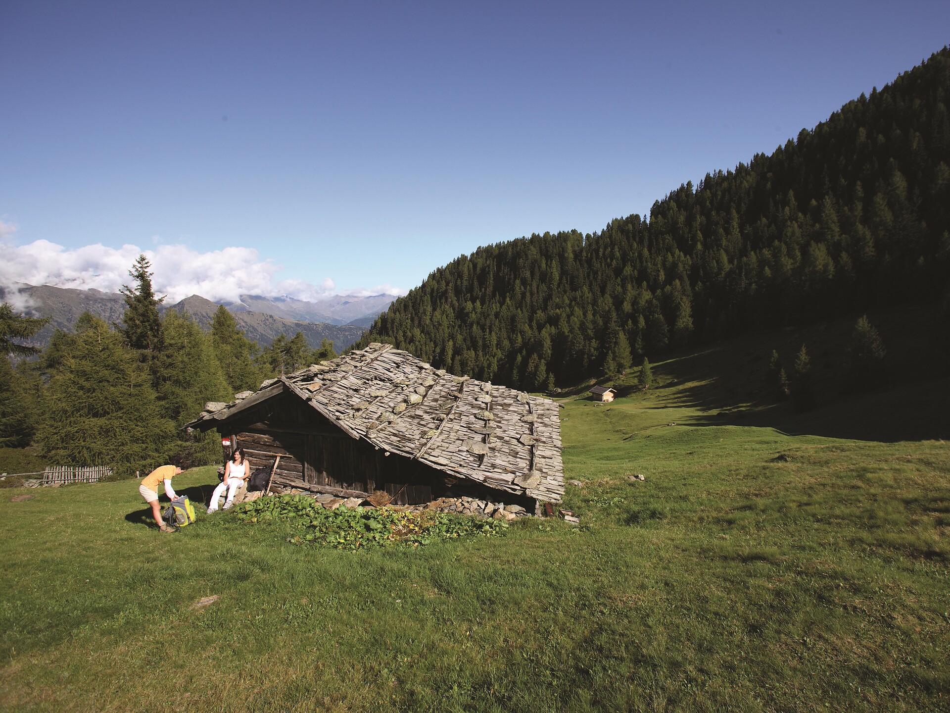 Geführte Wanderung "Weissbrunn-Pilsberg-Tuferalm-Hintere Flatschbergalm" Lana 1 suedtirol.info