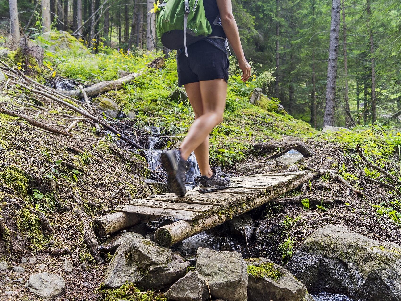 Gufidaun: Geführte Wanderung Würzjoch - Schlütterhütte - Zans - Brixen und Umgebung - #1 - suedtirol.info